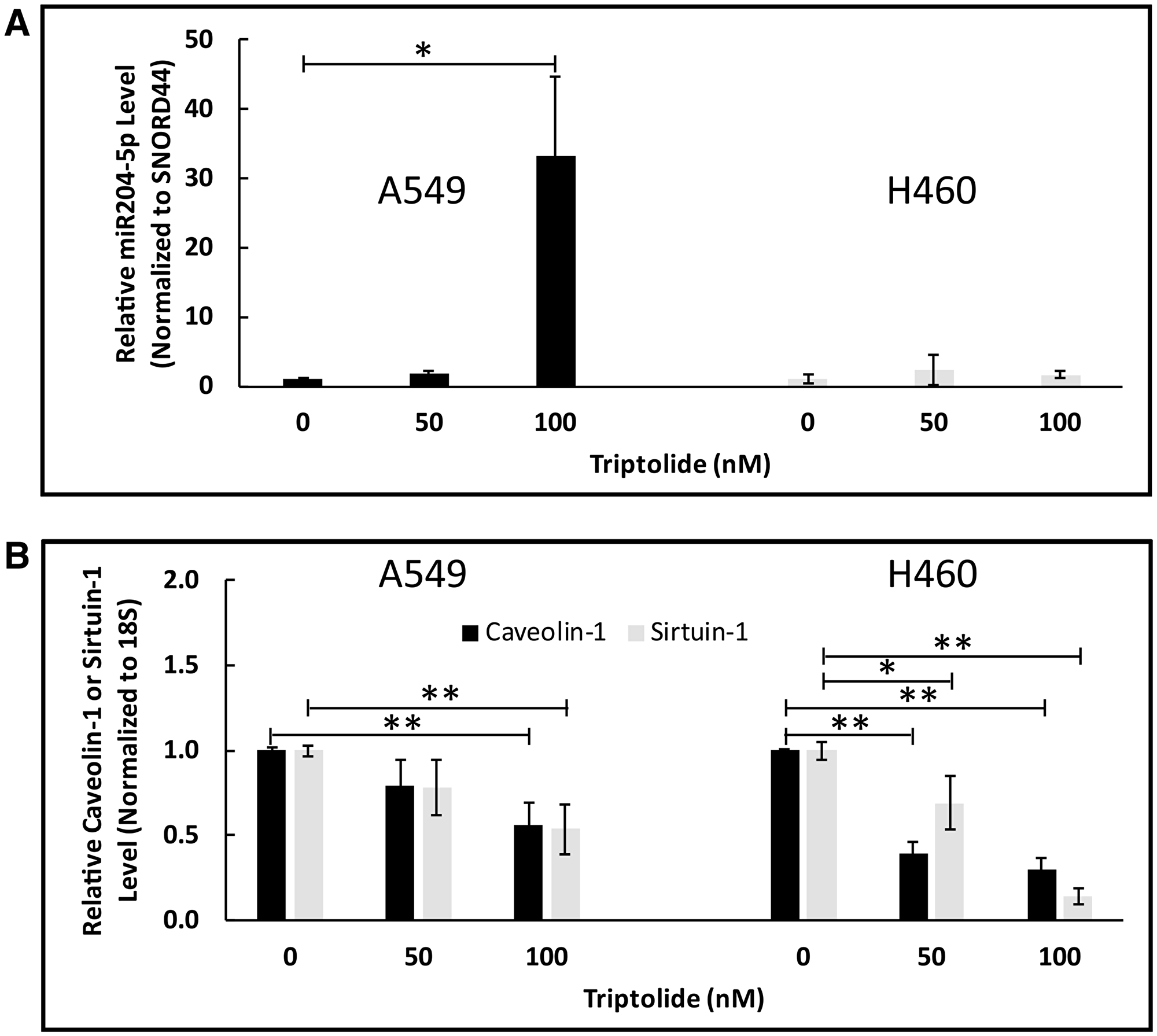 TL upregulated miR204-5p mRNA expression in NSCLC