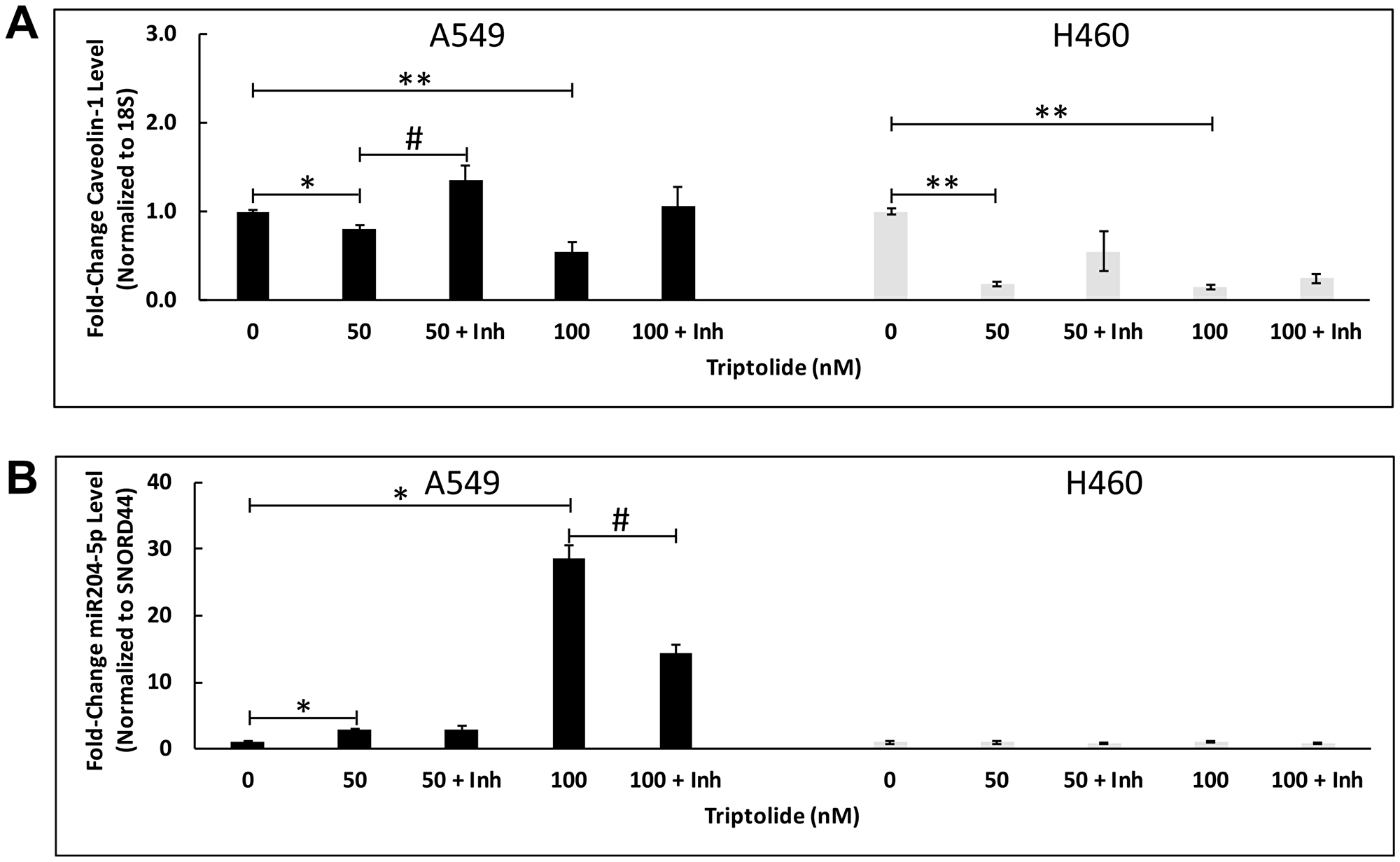 miR204-5p inhibitor blocked TL-induced downregulation of Cav-1 mRNA expression in NSCLC