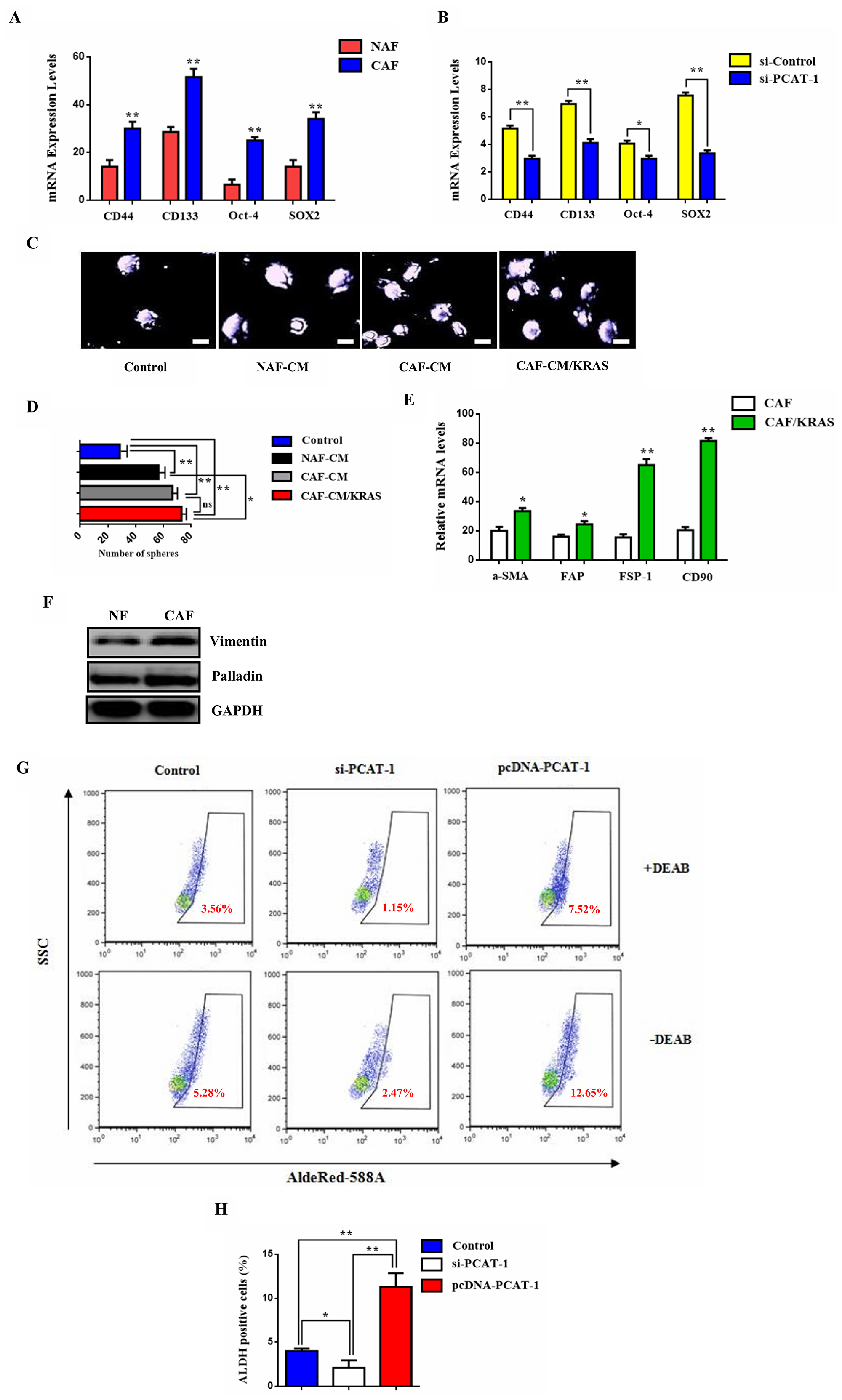 PCAT-1 activates the CD133/SOX2-related stem cell phenotype of metastatic tumor cells via myofibroblast differentiation