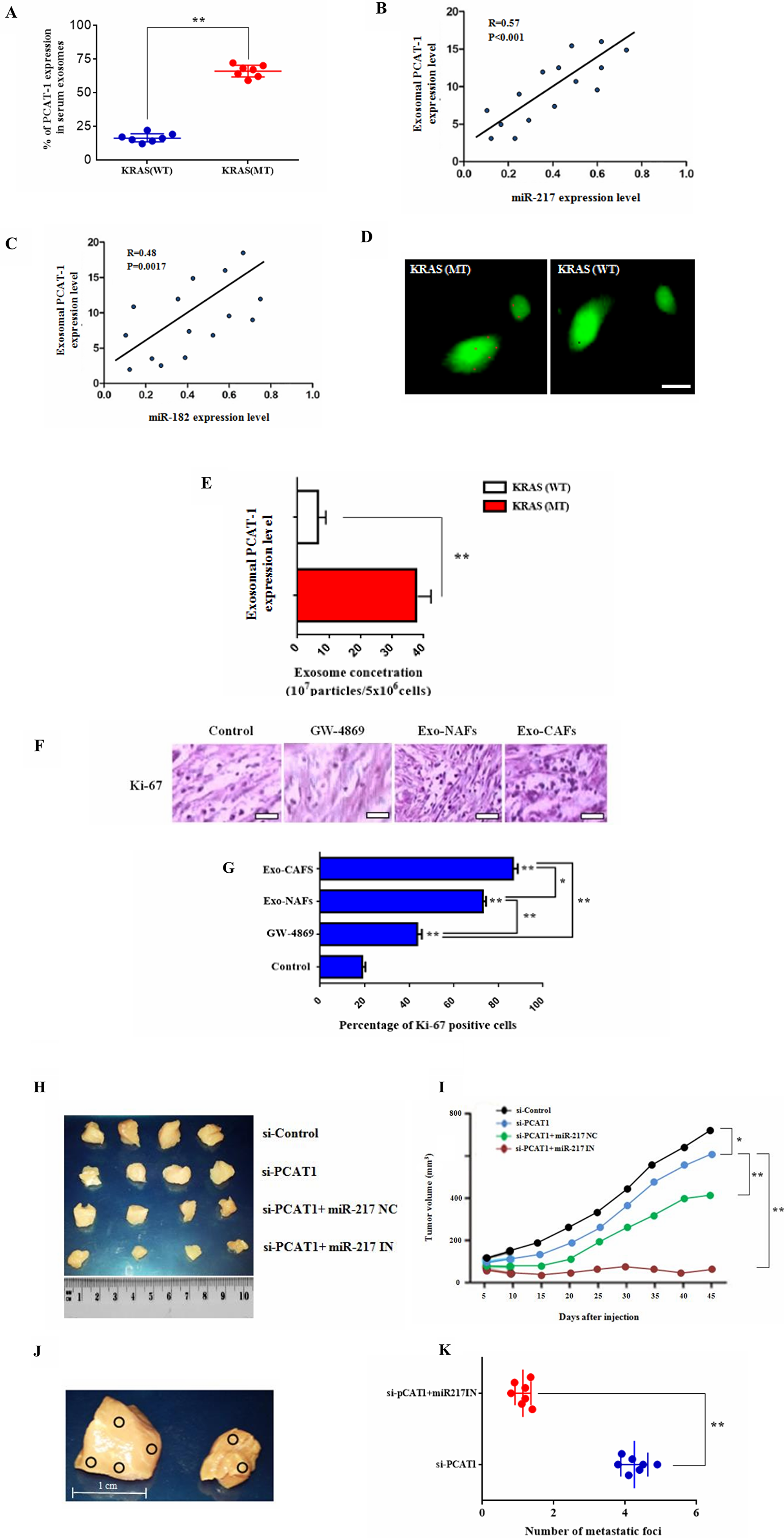 Exosomal PCAT-1 promotes tumor growth and guides lymph node metastasis in vivo