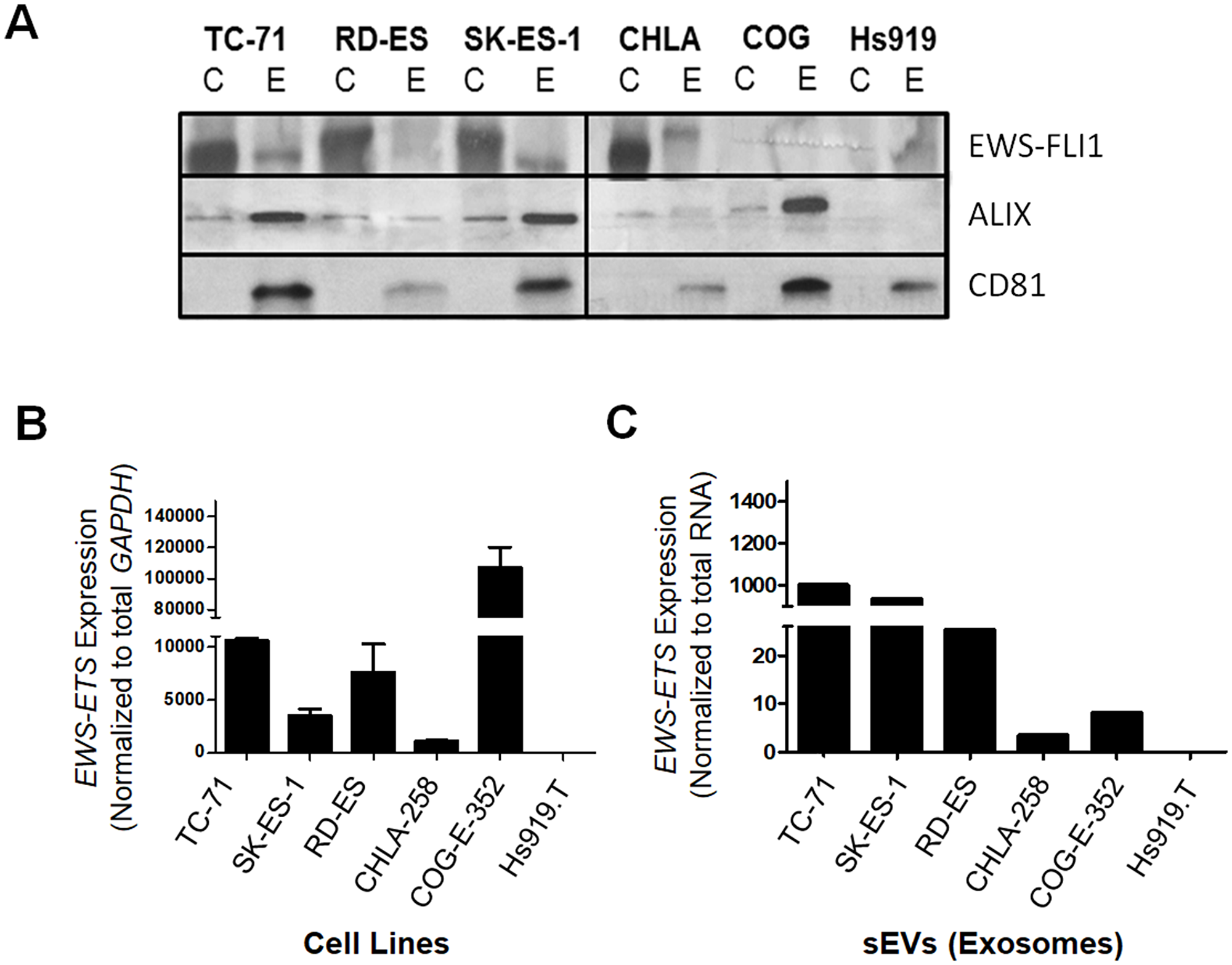 EWS-ETS transcript and protein are detected in ESFT cell lines and their corresponding sEVs