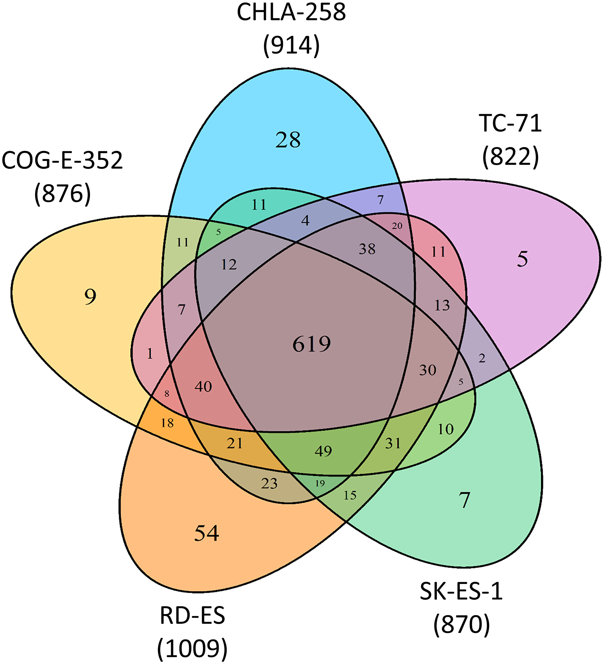 Common and unique proteins to ESFT cell line derived sEVs