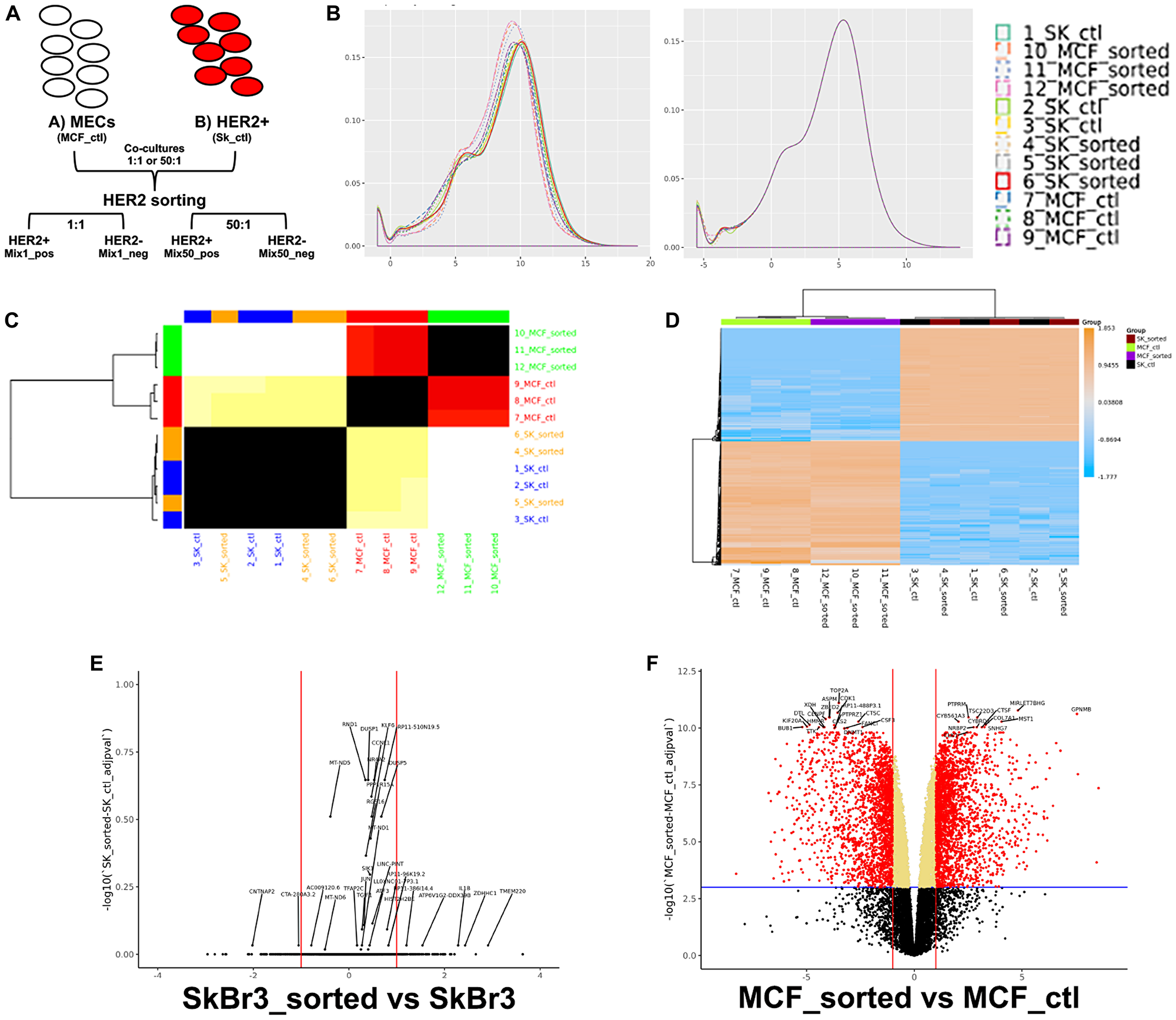 Breast cancer cells express different genes than epithelial cells