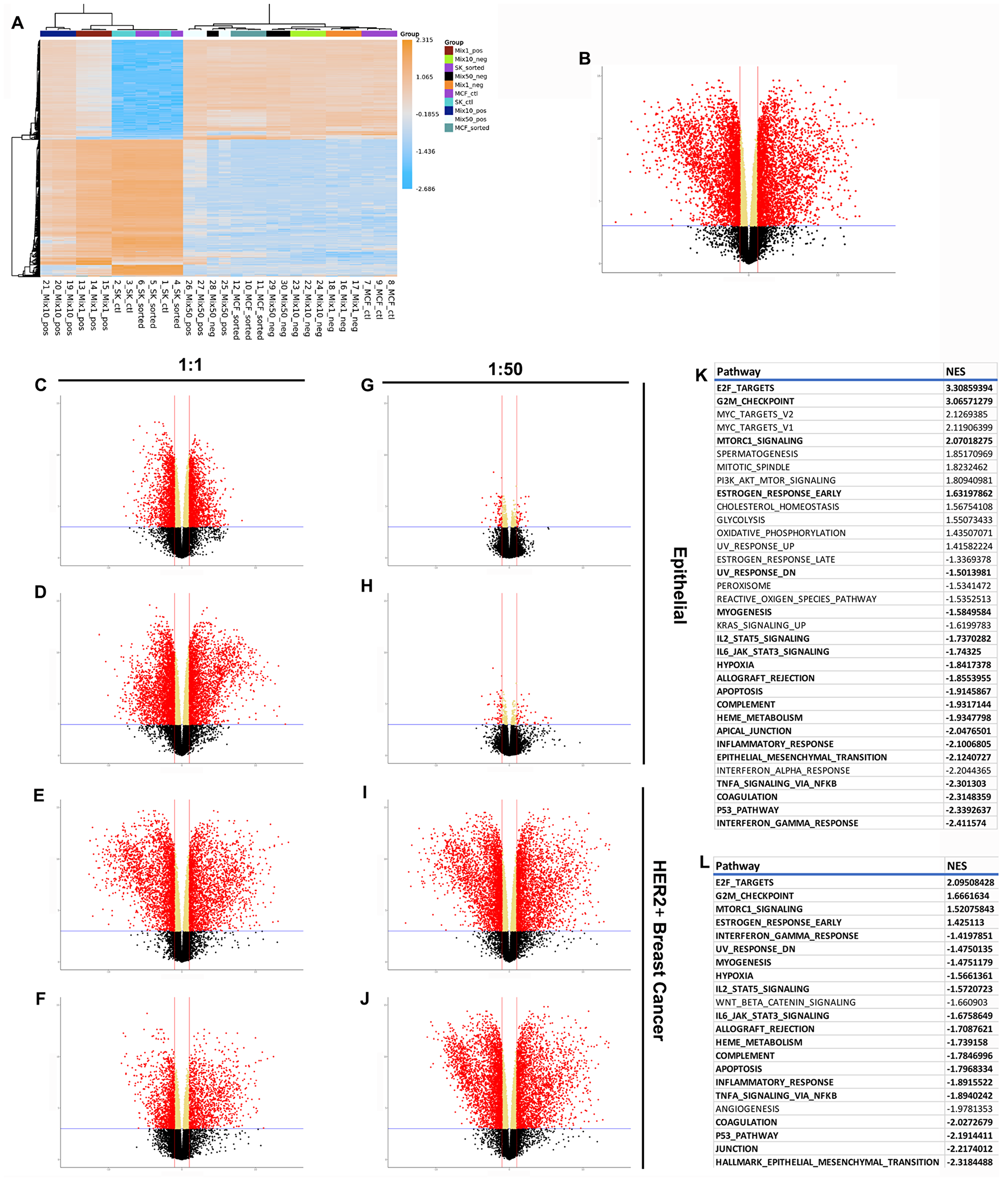 RNAseq results demonstrating differences between normal, cancer, and redirected cells