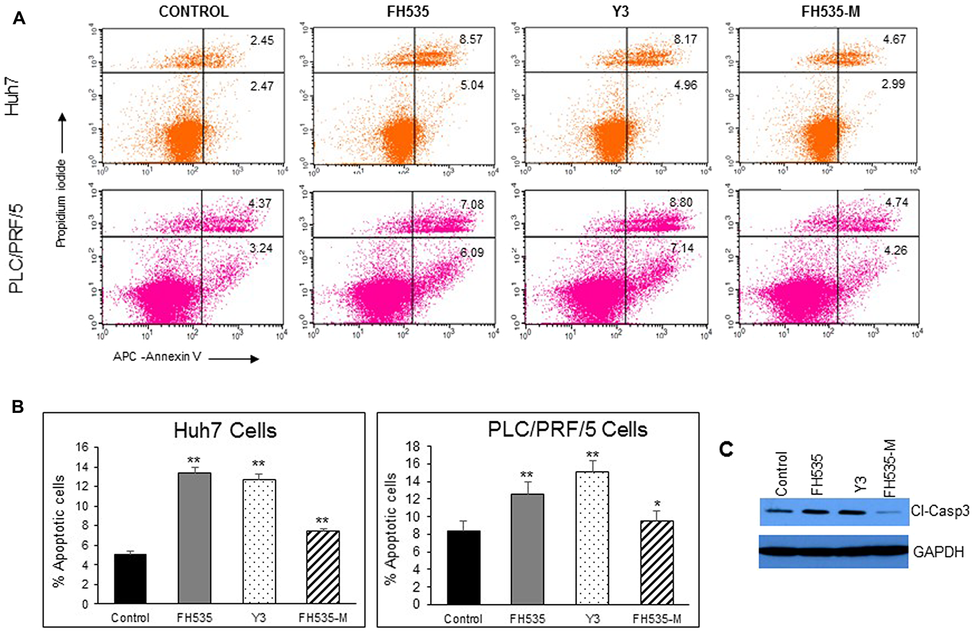 Analysis of apoptosis by Annexin V-APC/propidium iodide (PI) double staining of HuH7 and PLC/PRF/5 cells after 48 h treatment with vehicle or 10 μM of FH535, Y3 and FH535-M