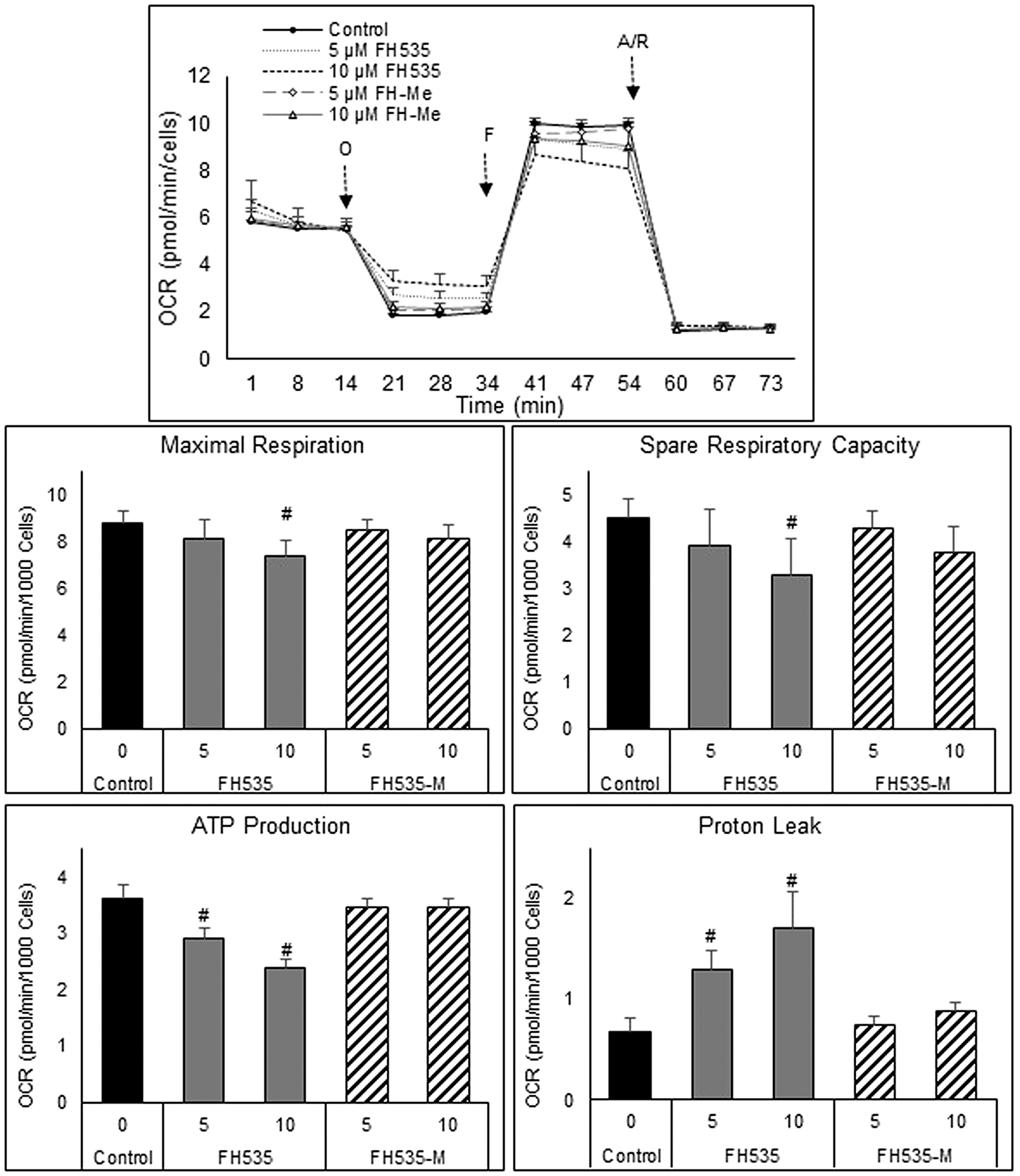 Mitochondrial respiration changes induced after treatment of HCC cells for 24 h with FH535 and its methylated derivative