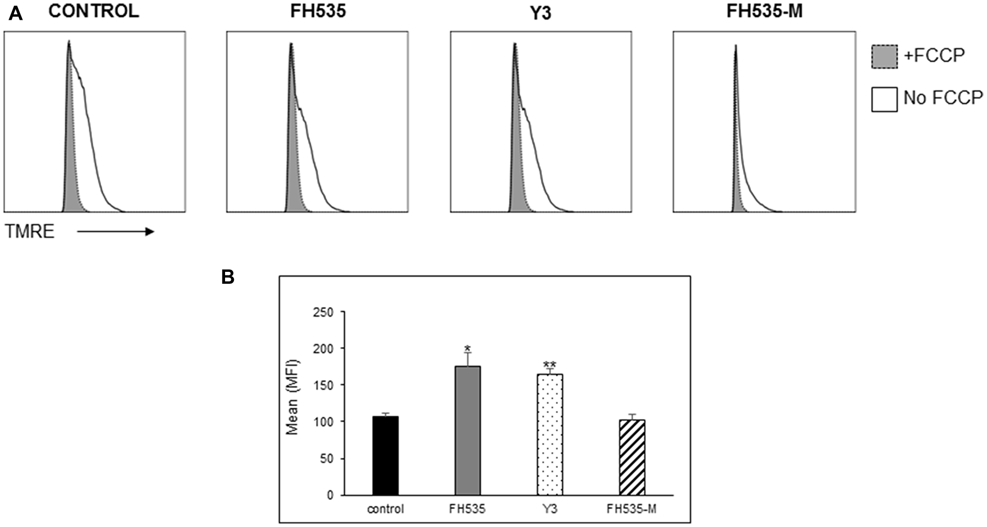 Effect of FH535 methylated compound on mitochondrial membrane potential (Δψm)