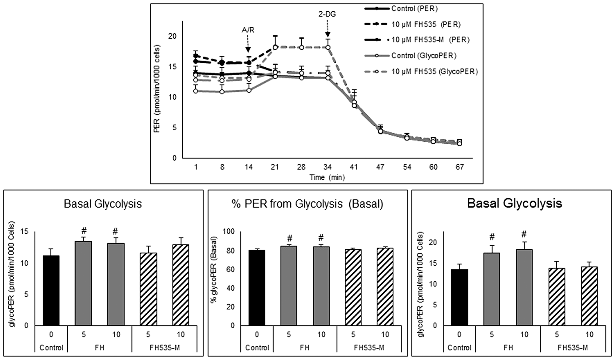 Effect of FH535 and FH535-M on the glycolytic rate of Huh7 cells