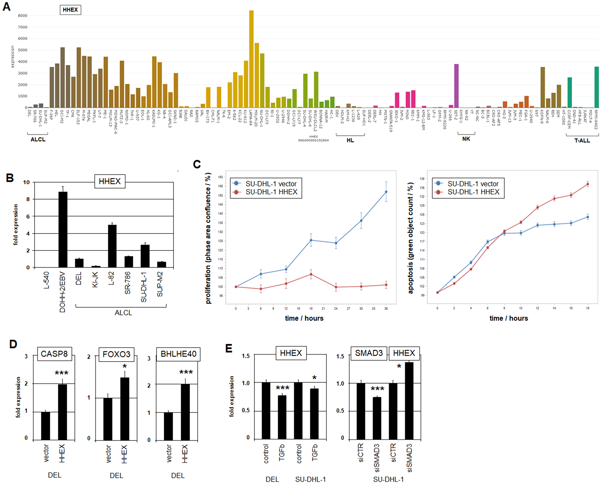 Expression, function and regulation of HHEX