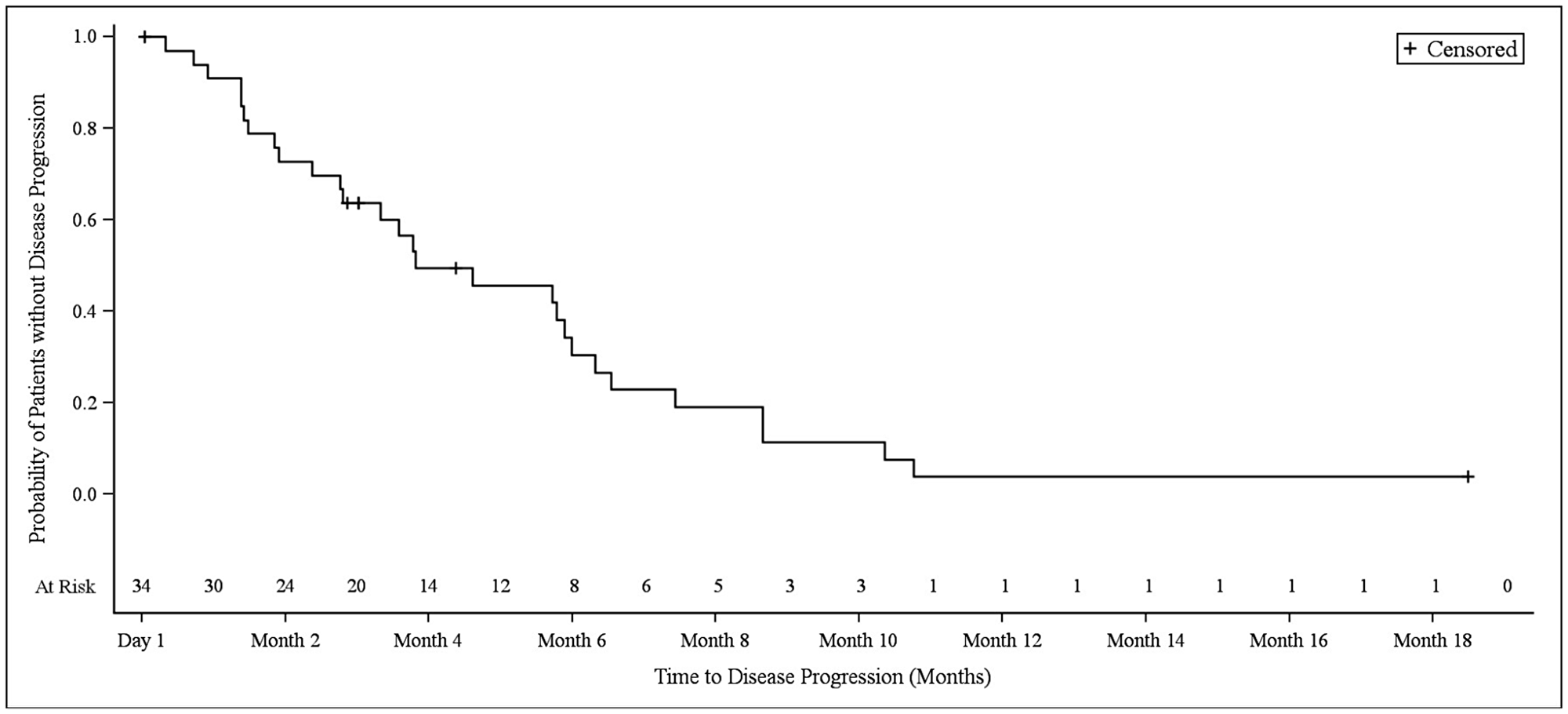 Kaplan–Meier plot of progression-free survival in NSCLC patients