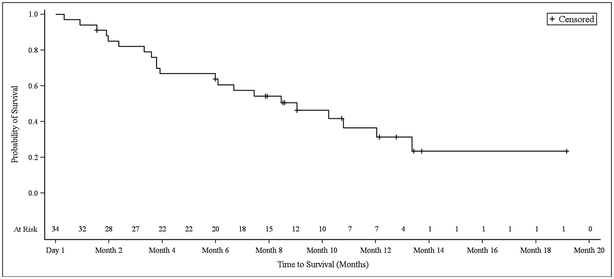 Kaplan–Meier plot of overall survival in NSCLC patients