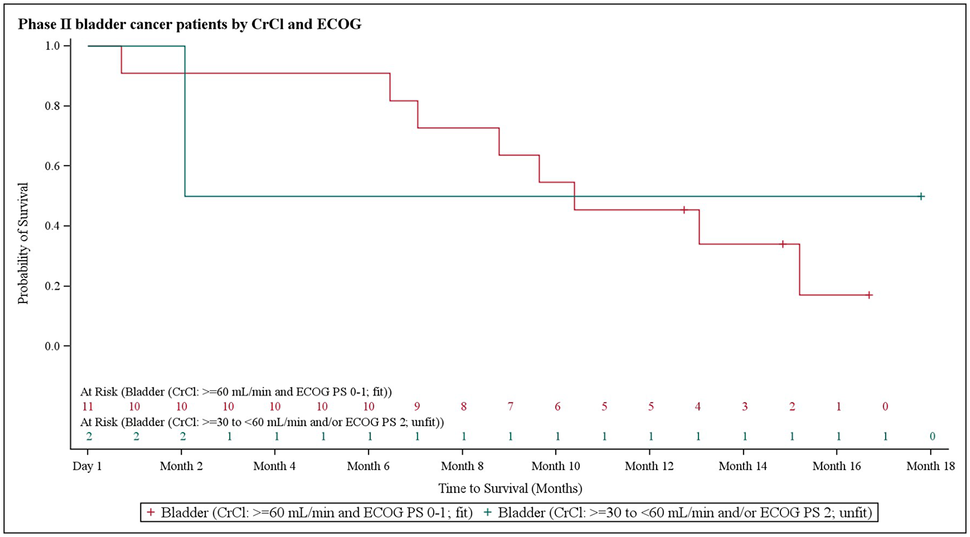 Kaplan–Meier plot of overall survival in bladder cancer patients stratified based on creatinine clearance and Eastern Cooperative Oncology Group performance status