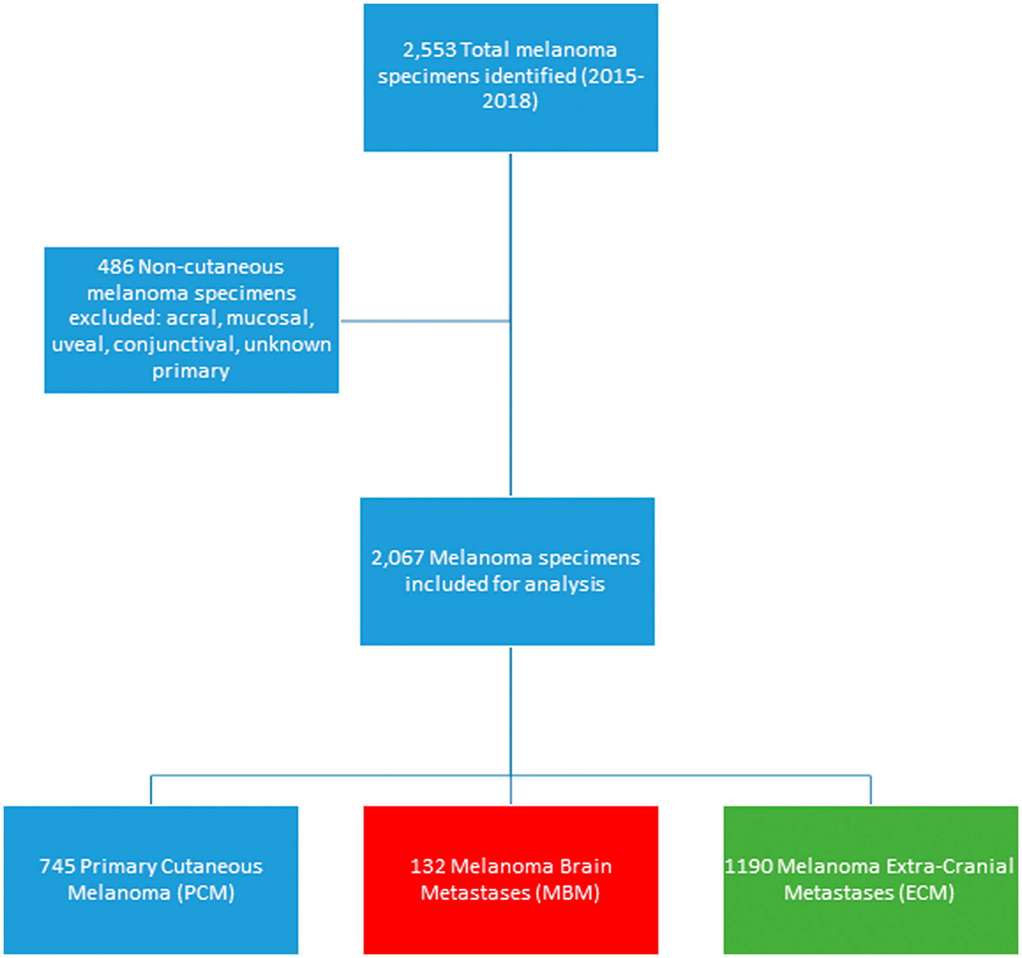 Consort diagram of melanoma specimens included in the study