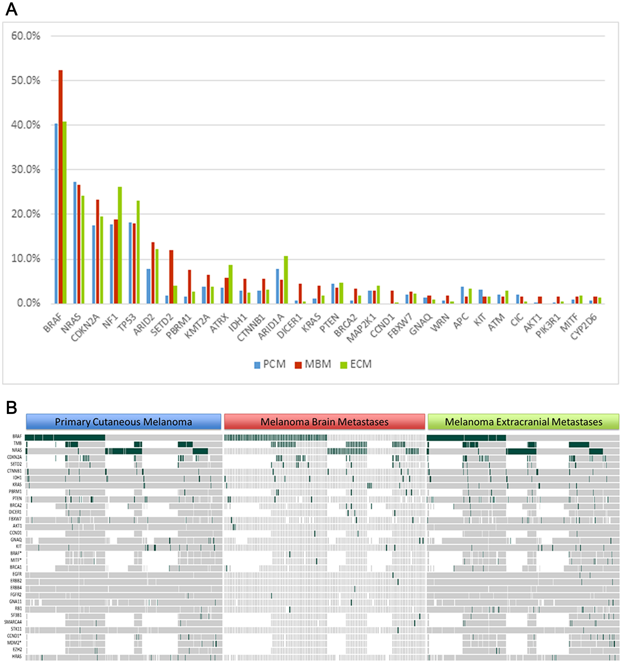 Comparison of gene alterations between primary cutaneous melanoma (PCM), melanoma brain metastases (MBM), and extracranial metastases (ECM)