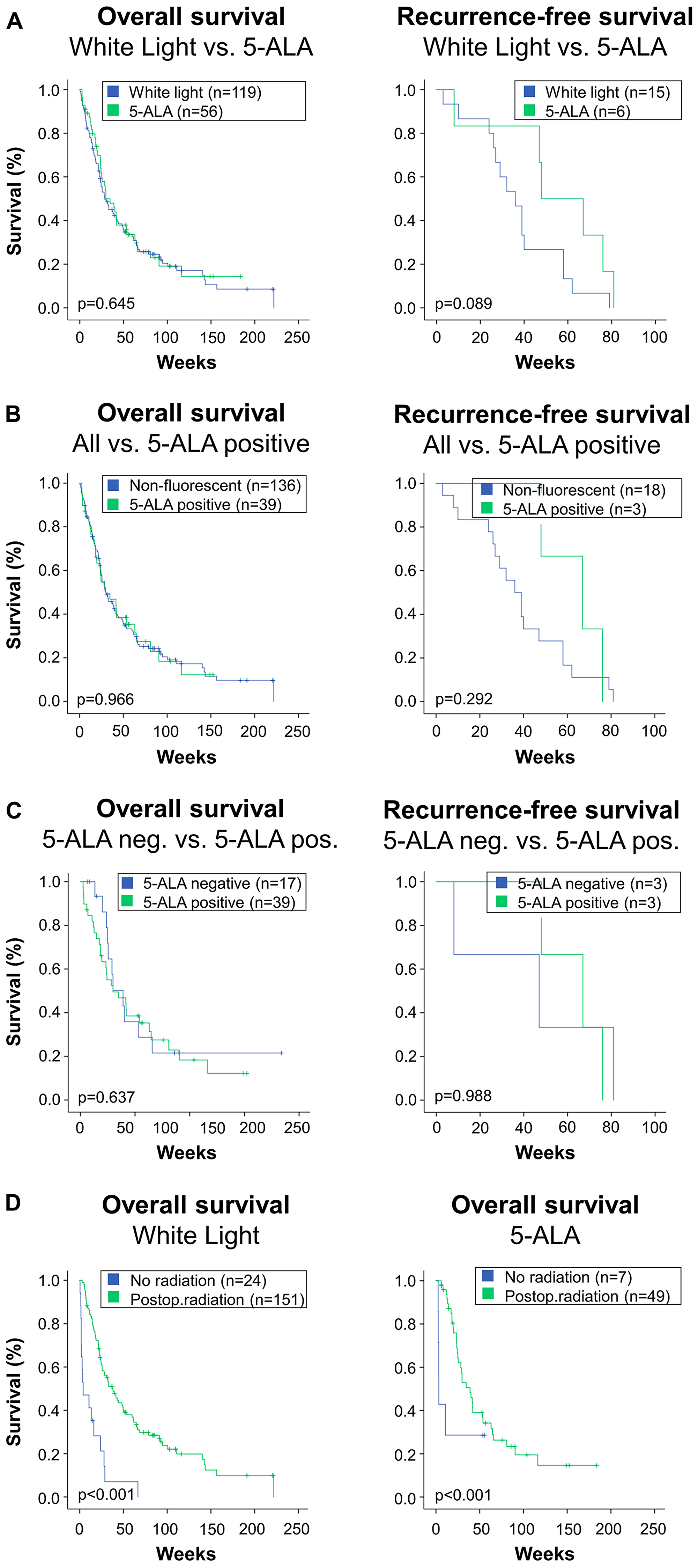 This figure depicts overall survival and local in-brain recurrence-free survival in the study’s subgroups