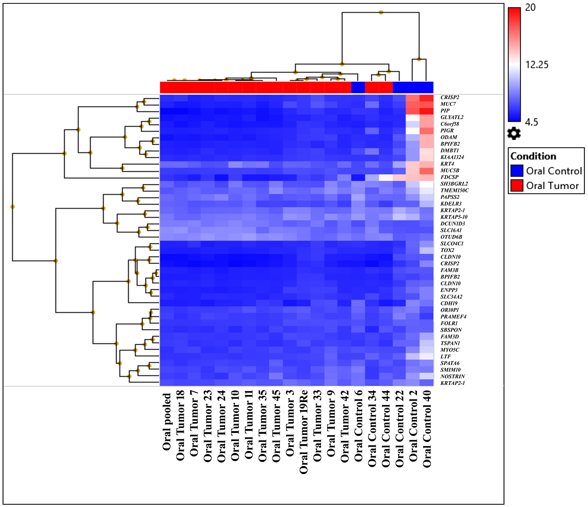 Heat map created based on the expression patterns of each gene across tumor and control samples