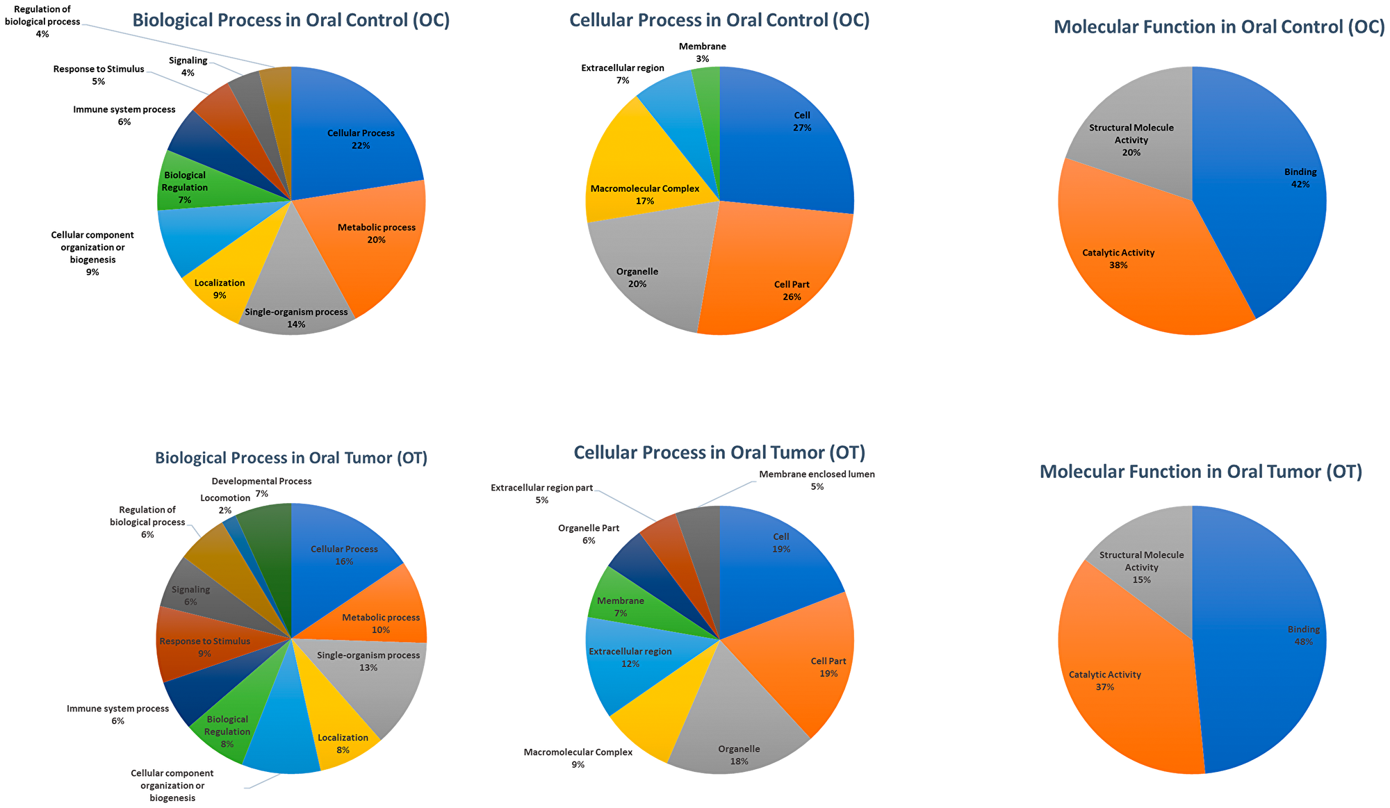 The number of sequences (GO term) involved in different subgroups under Biological Process, Cellular Process, and Molecular function in Level 2 after processing 20, 600, and 10, 637 high-quality full-length transcripts in OC and OT, respectively, through Blast2Go.