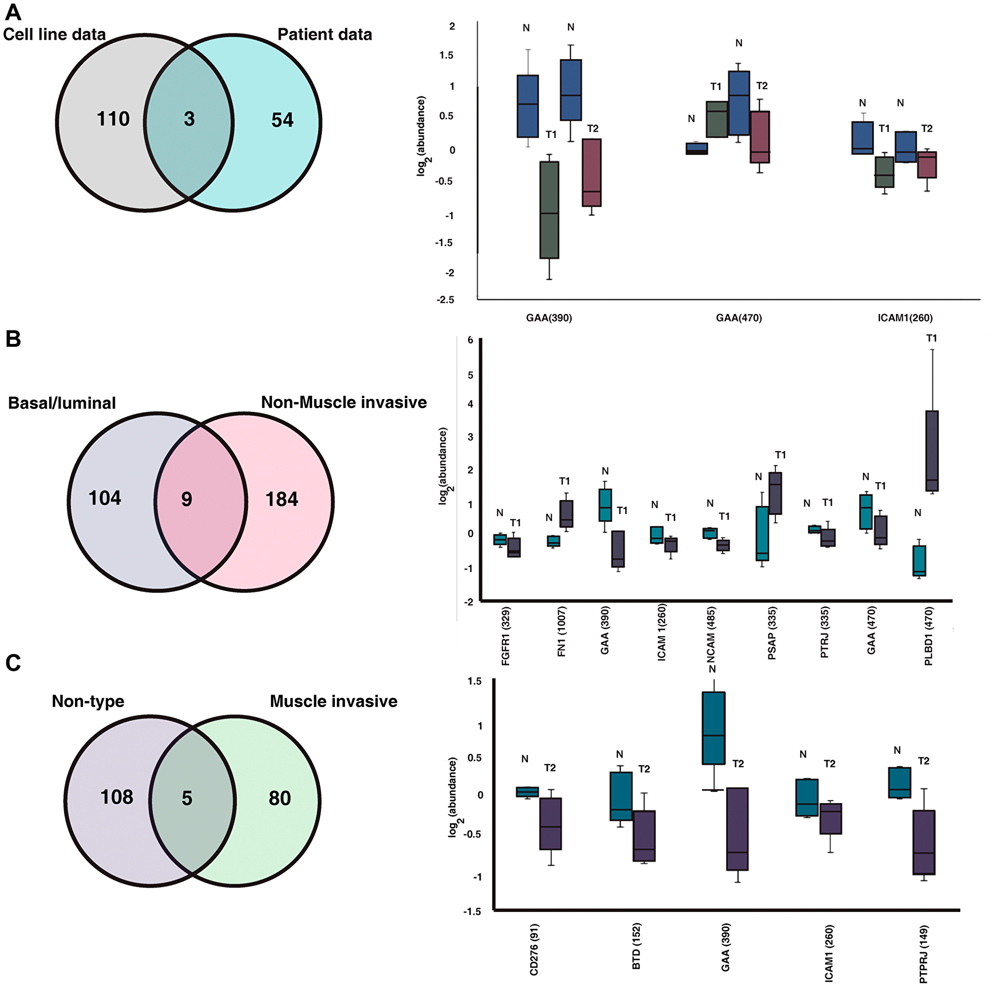 Comparison between cell line and our clinical data
