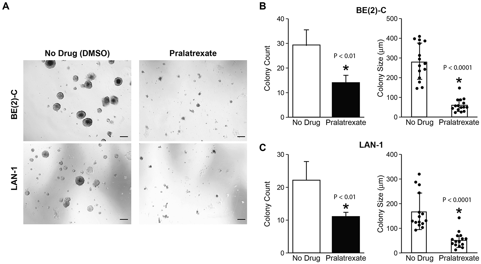 Pralatrexate inhibited neuroblastoma colony growth
