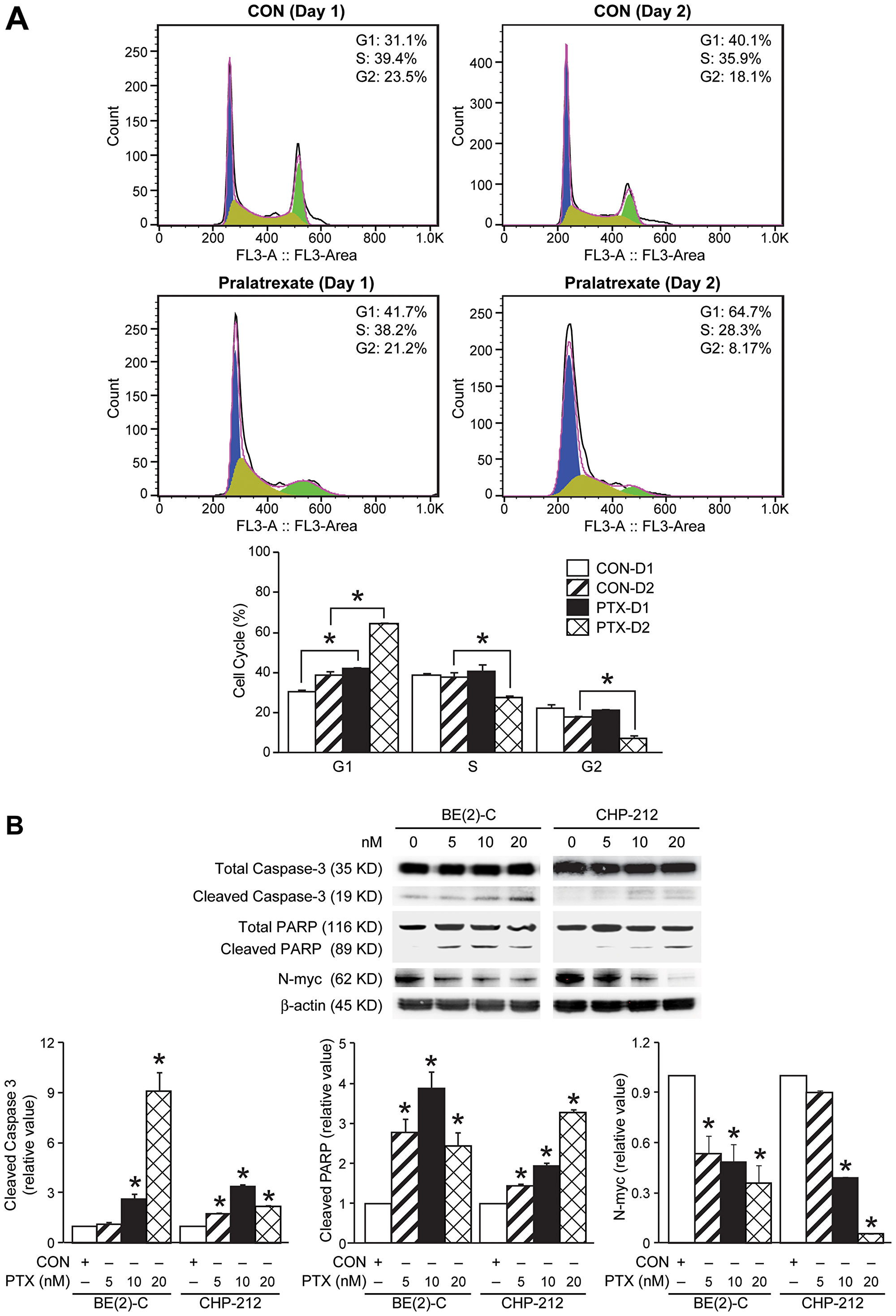 Effects of pralatrexate treatment on caspase-3, PARP, and N-myc protein expression