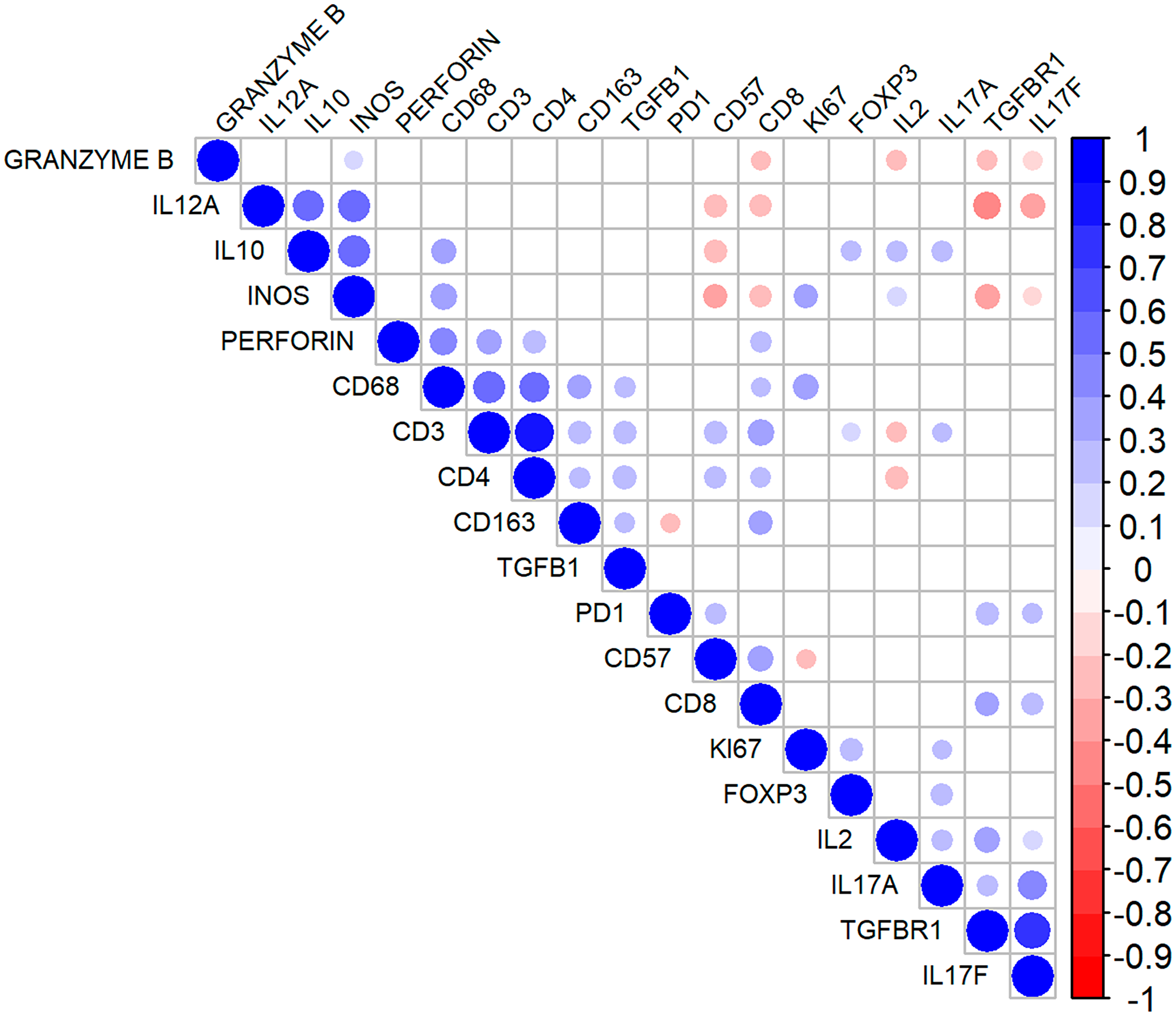 Correlation matrix for the immunohistochemical markers in follicular lymphoma