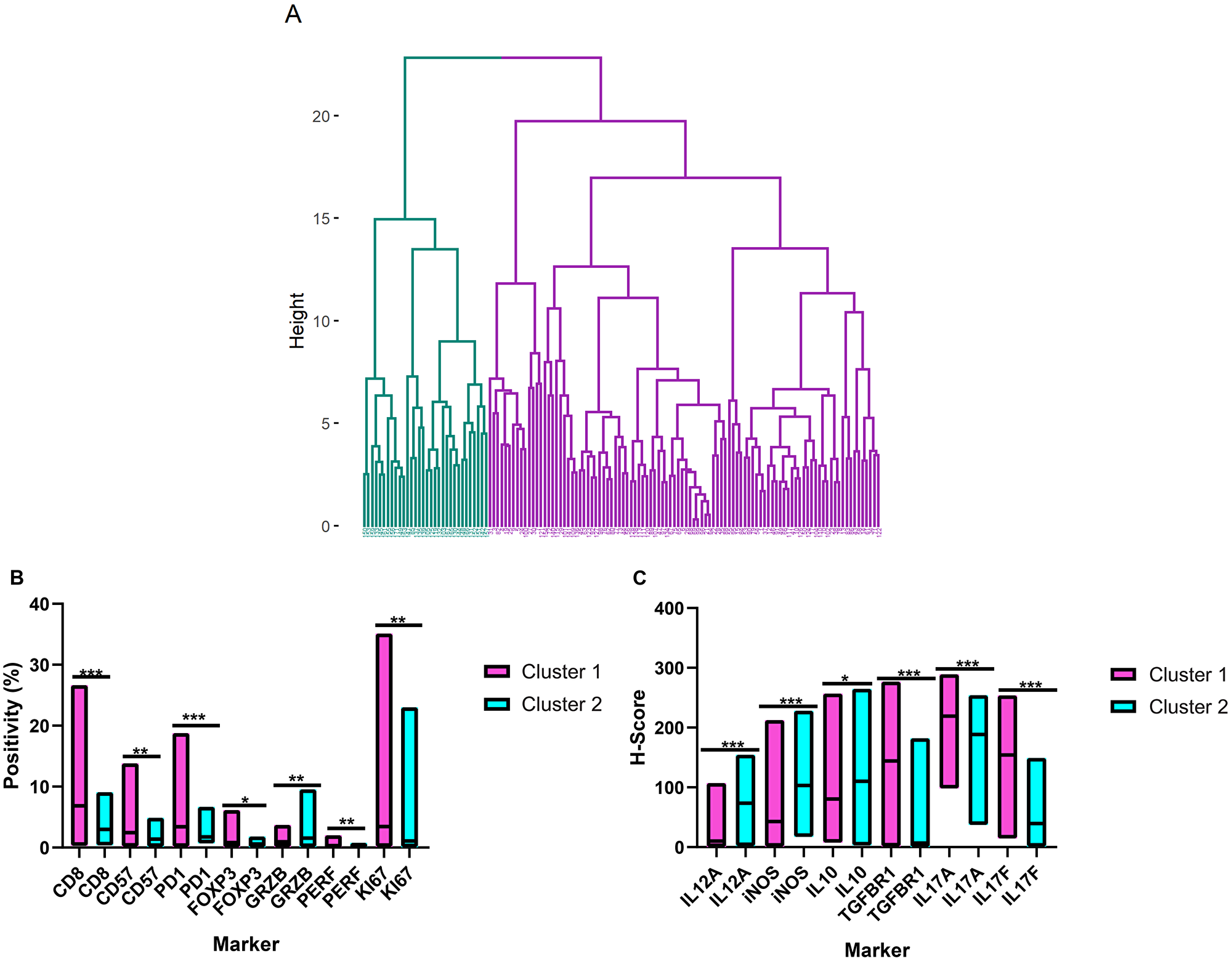 Hierarchical clustering of the tumor microenvironment in follicular lymphoma