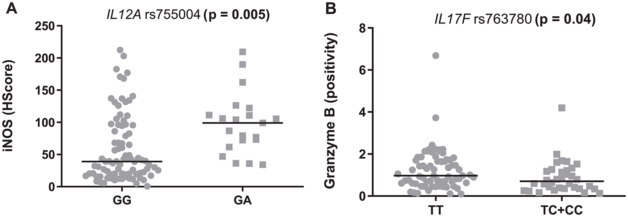 Modulation of the tumor microenvironment in follicular lymphoma by inflammatory SNPs