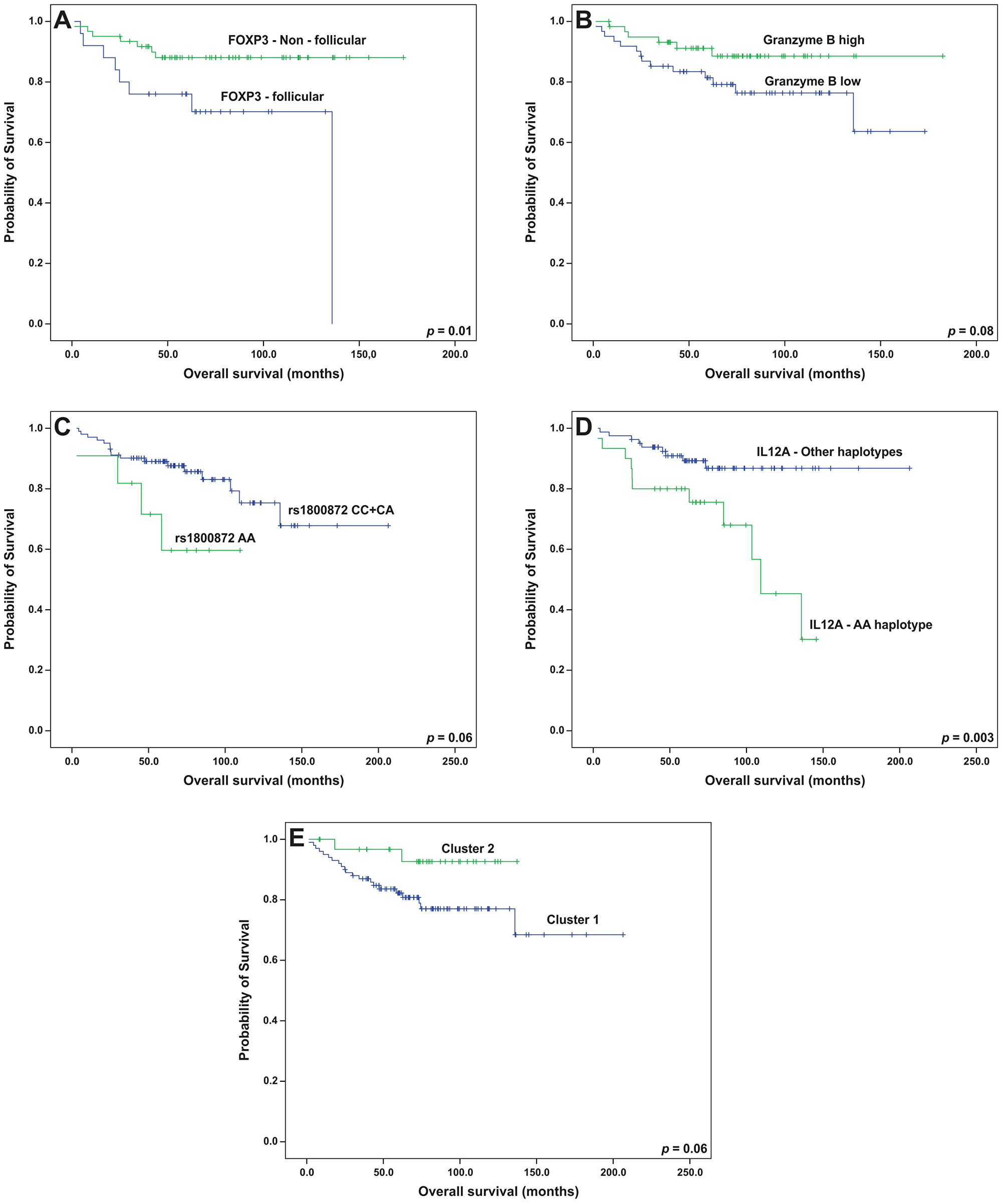 Overall survival analyses (Kaplan-Meier curves) of follicular lymphoma patients treated with R-CHOP/R-CVP influenced by (A) the pattern of FOXP3 cells, (B) intratumoral levels of granzyme B, (C) the genotypes of IL10 rs1800872, (D) the presence of the IL12A AA haplotype and (E) microenvironment clusters. All the p-values were obtained from log-rank tests.