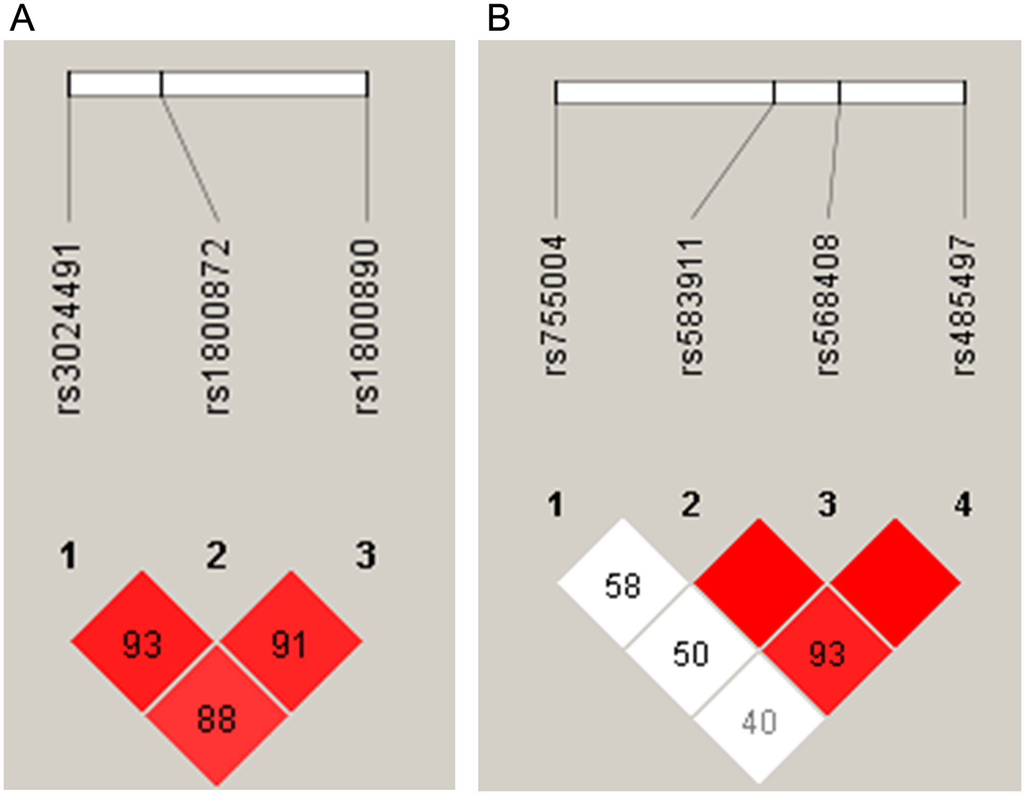 Haplotype estimates in follicular lymphoma patients for (A) chromosome 1 (IL10) and (B) chromosome 3 (IL12A). In each square, the linkage disequilibrium (LD) was estimated between the groups of single nucleotide polymorphisms. The higher LD values (expressed as D’) are shown in the red squares.