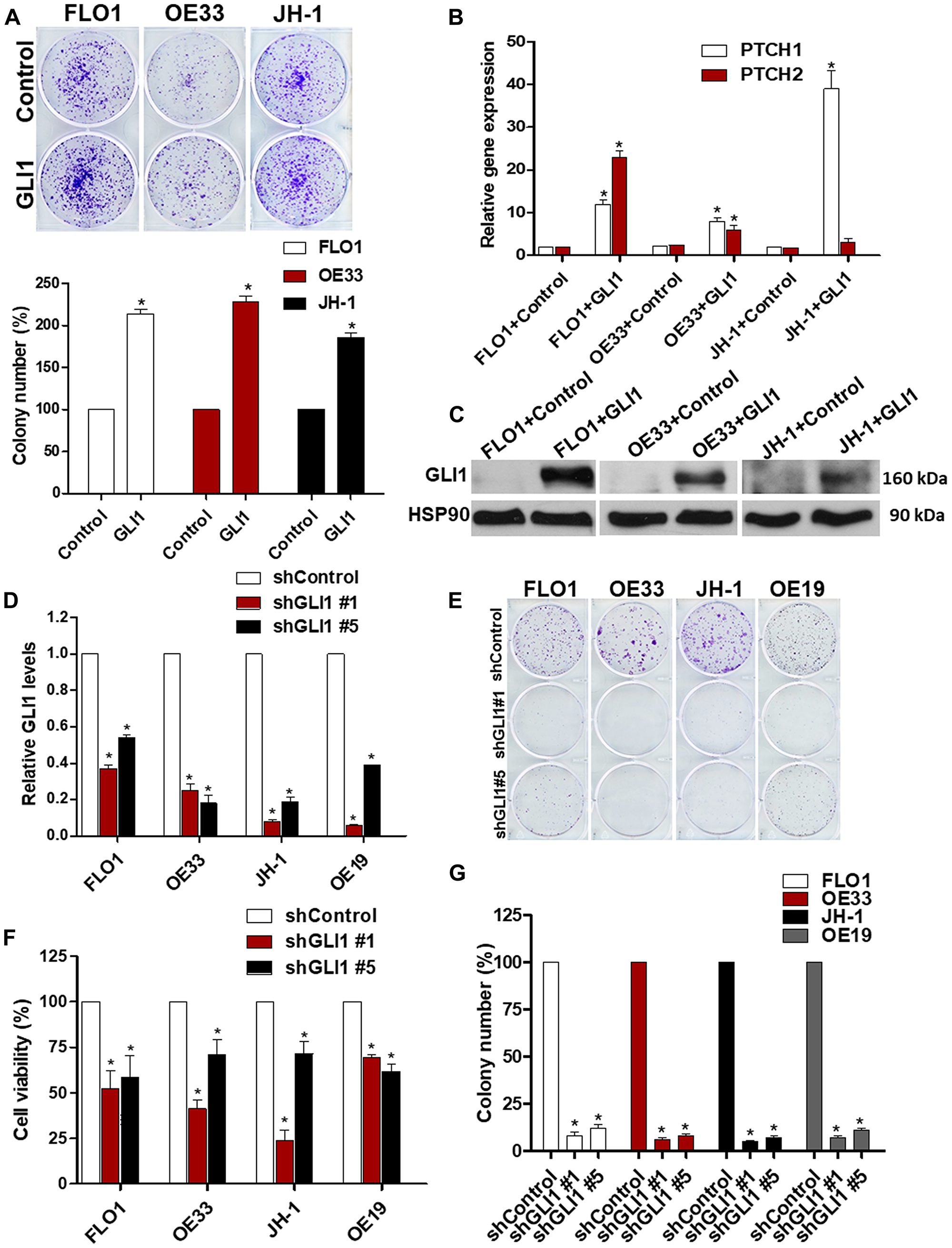 GLI1 is a critical regulator of EAC viability