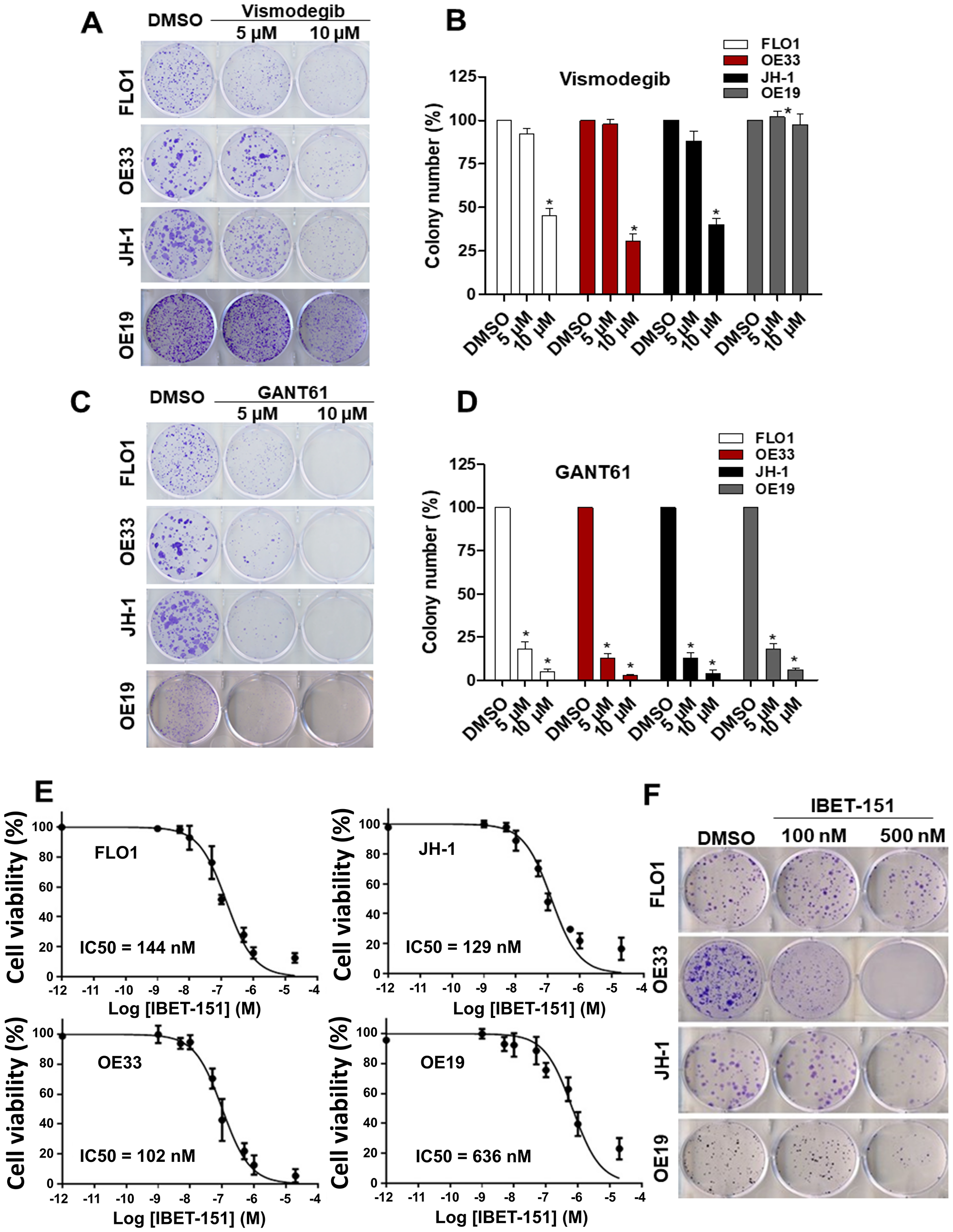 Effect of small molecule inhibitors in EAC
