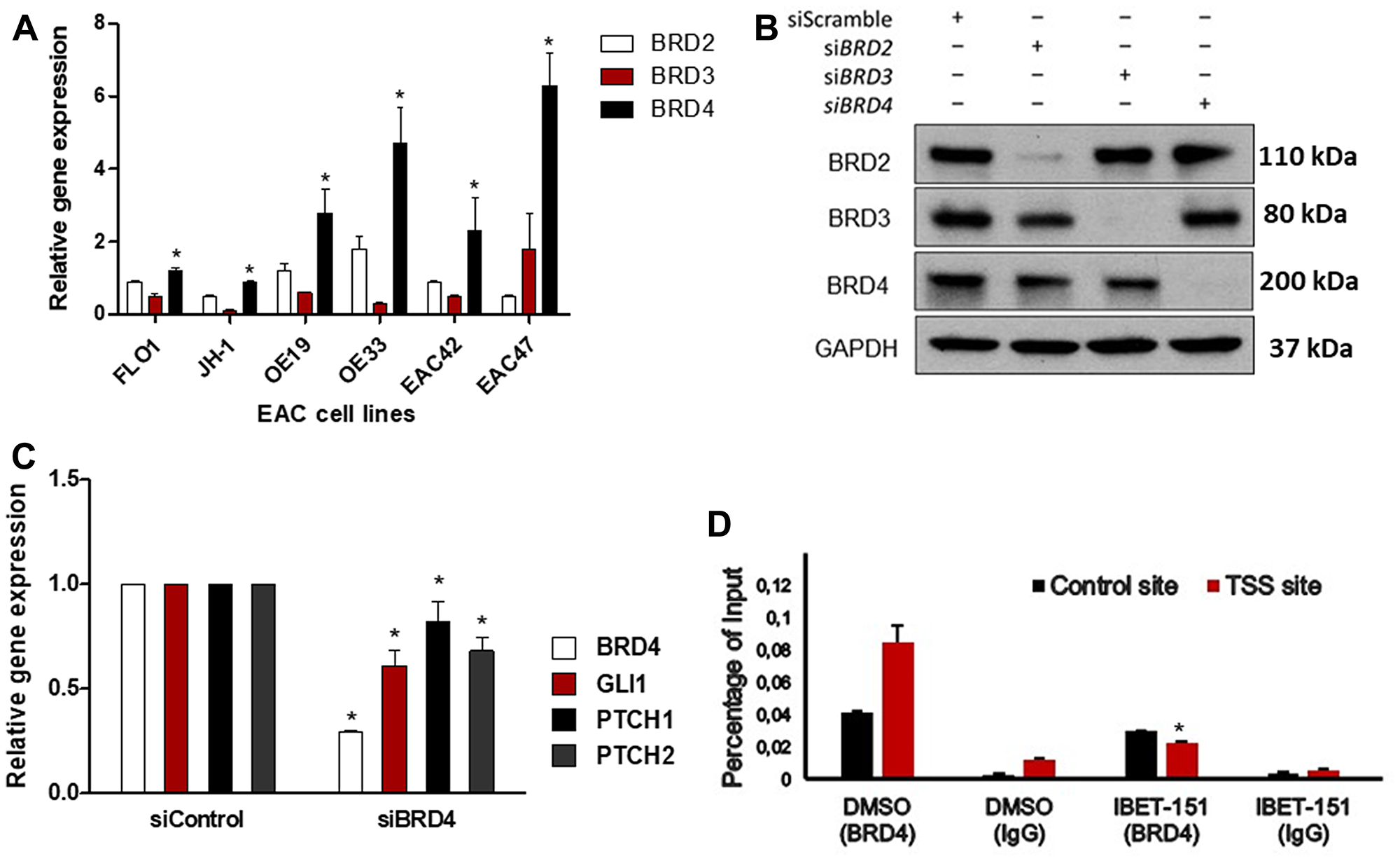 IBET-151 reduces BRD4 occupancy of the GLI1 locus