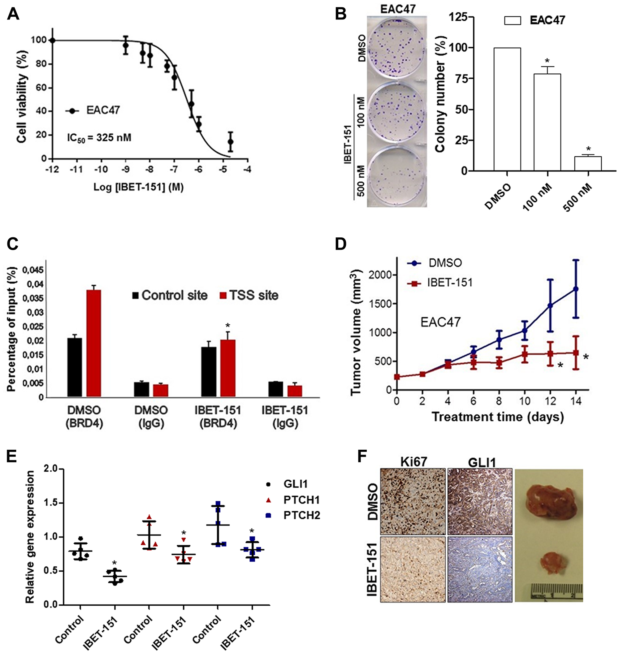 IBET-151 inhibits the growth in EAC PDX models