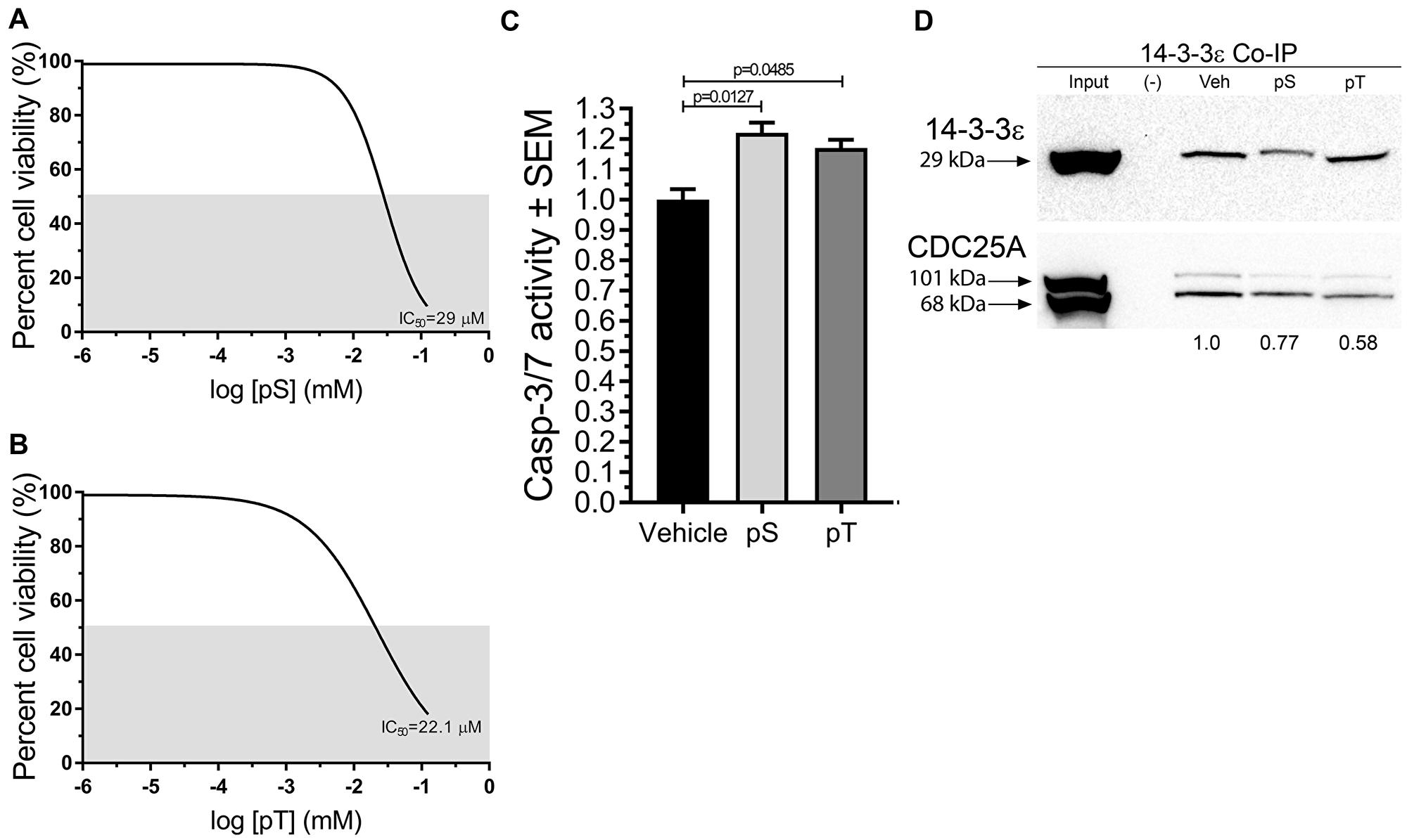 Synthetic fragments pS and pT of CDC25A disrupted CDC25A binding to 14-3-3ε, reduced cell viability, and increased apoptosis in SCC cells
