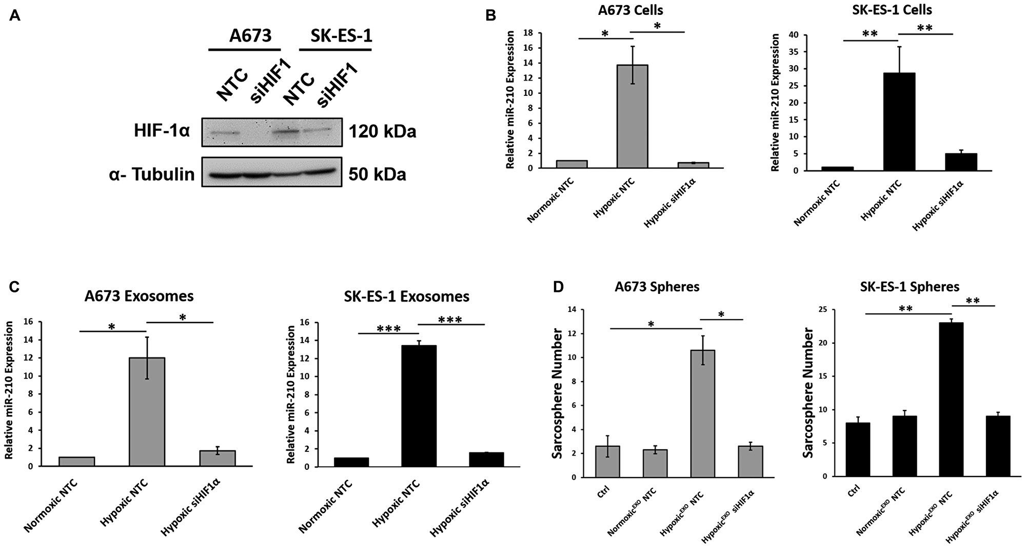 HIF-1α upregulates exosomal miR-210 and mediates HypoxicEXO-induced sphere formation