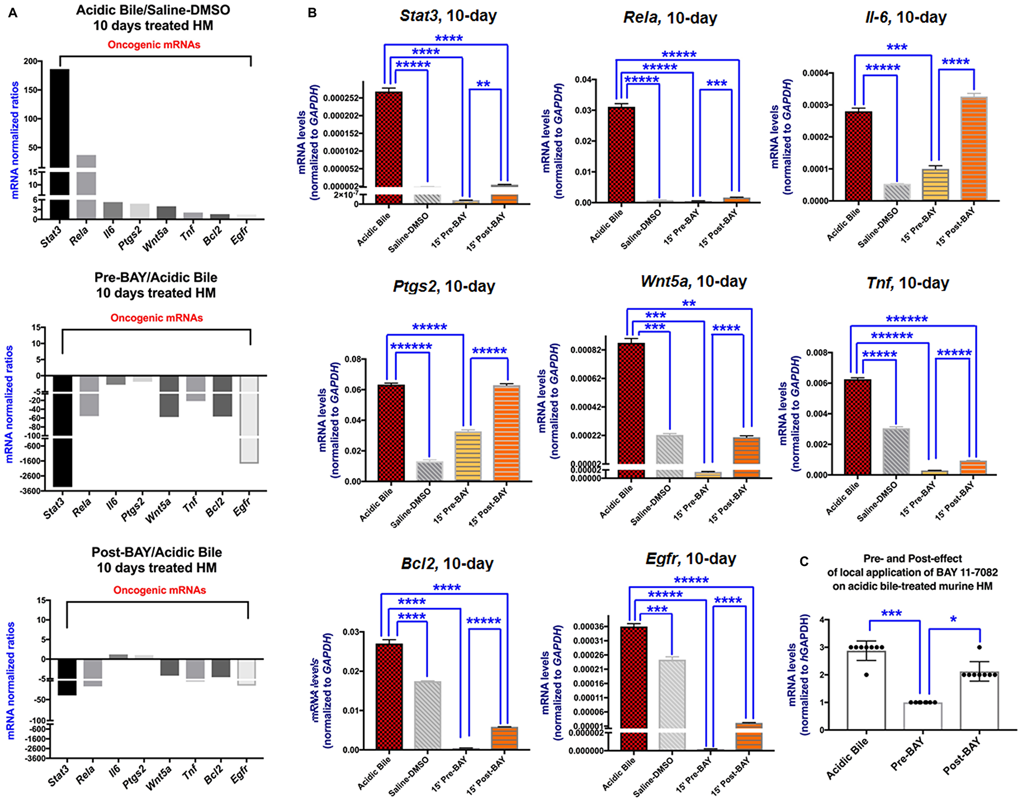 In vivo topical pre- or post-application of BAY 11-7082 prevents the acidic bile-induced transcriptional activation of NF-κB related genes with anti-apoptotic, cell proliferation, oncogenic or pro-inflammatory in 10-day exposed murine HM