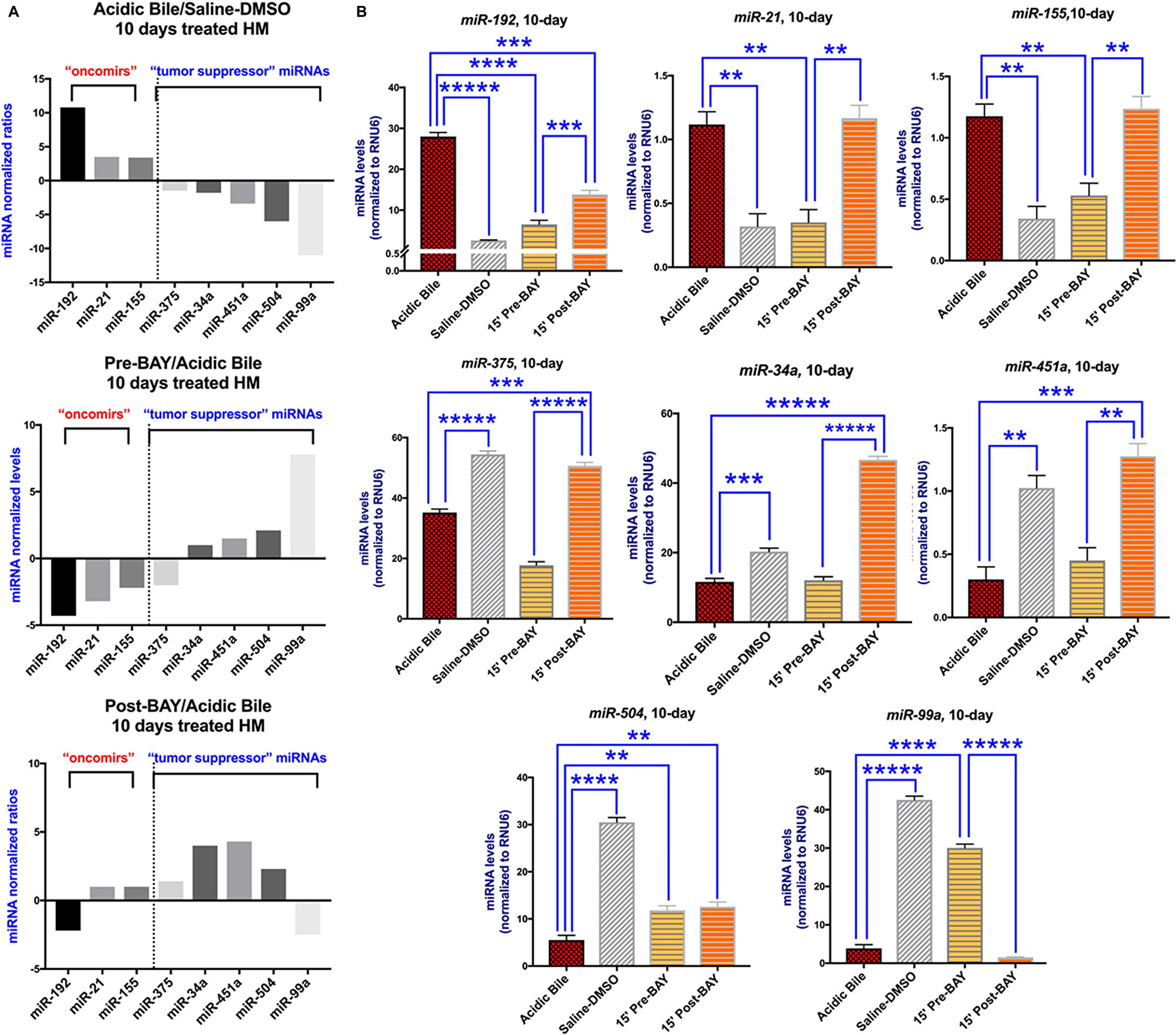 The in vivo pre- or post- topical application of BAY 11-7082 prevents the acidic bile-induced deregulation of cancer-related miRNA markers in 10-day exposed murine HM