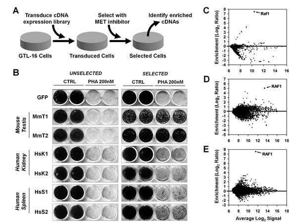 fig1