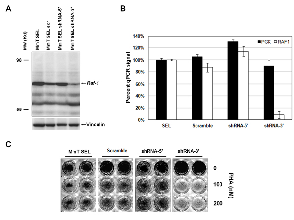 fig3