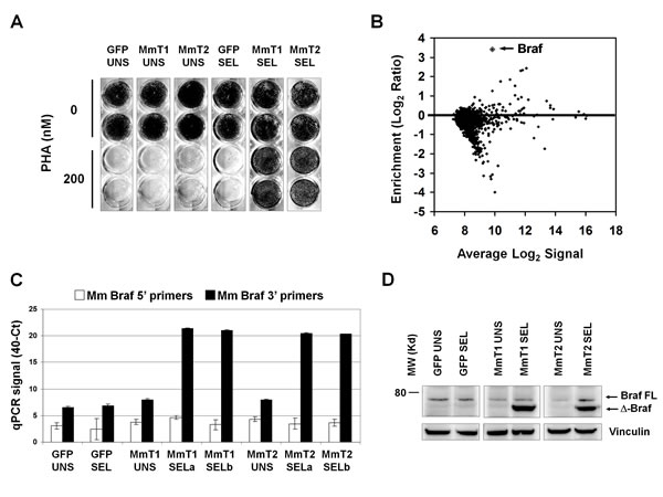 fig4