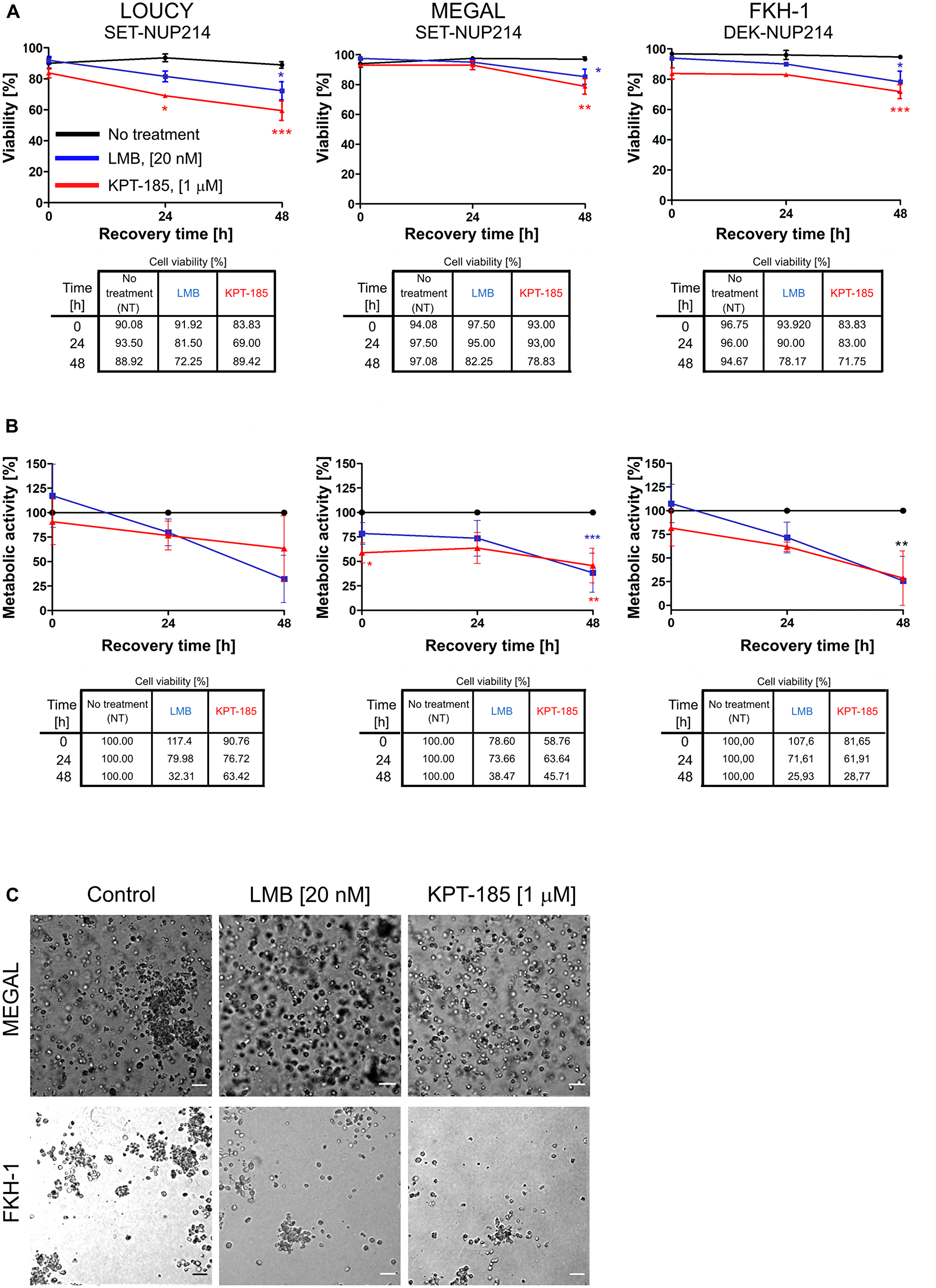 LMB and KPT-185 persistently affect cellular function