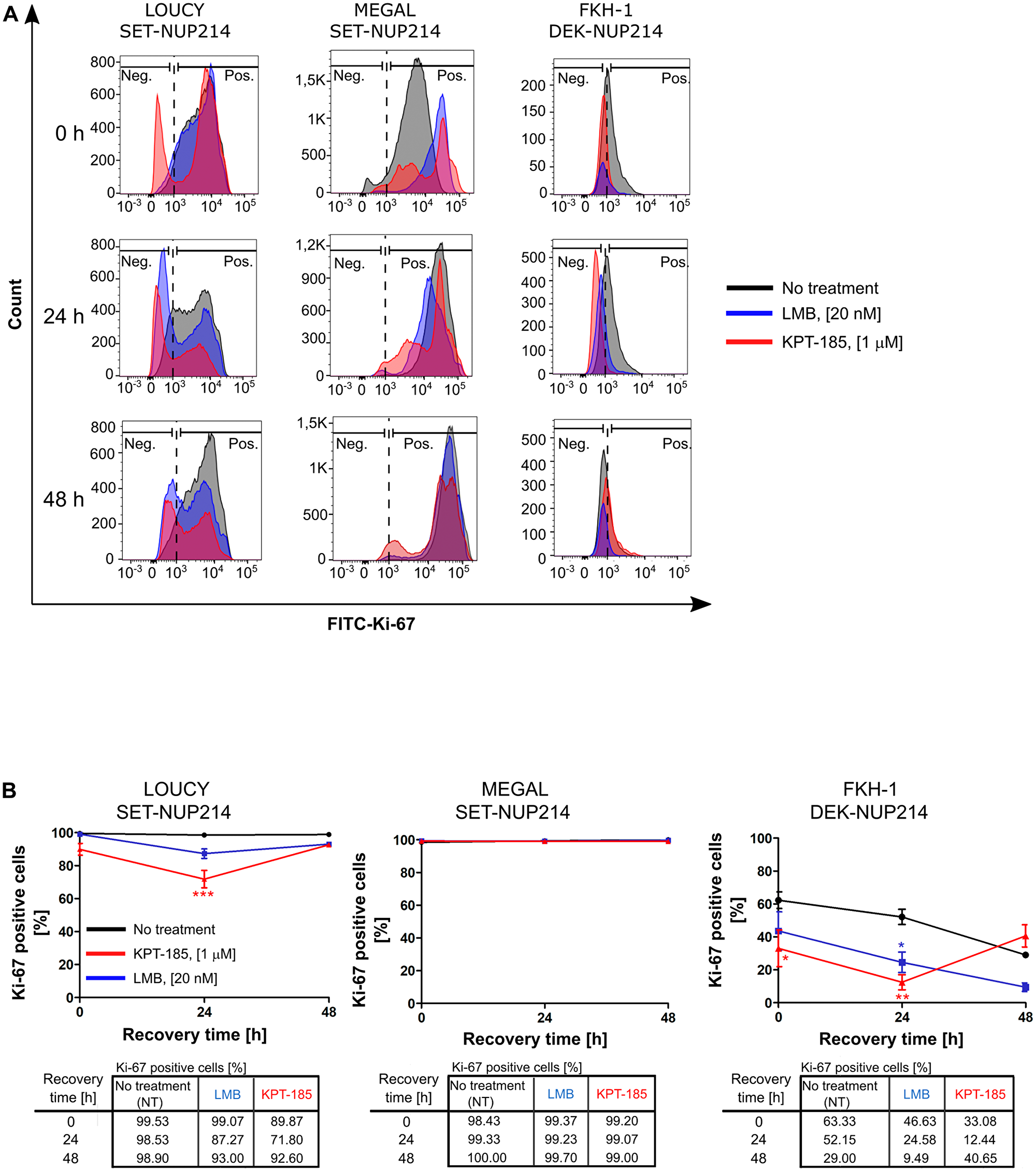 Distinct effects of CRM1 inhibition results on cell proliferation