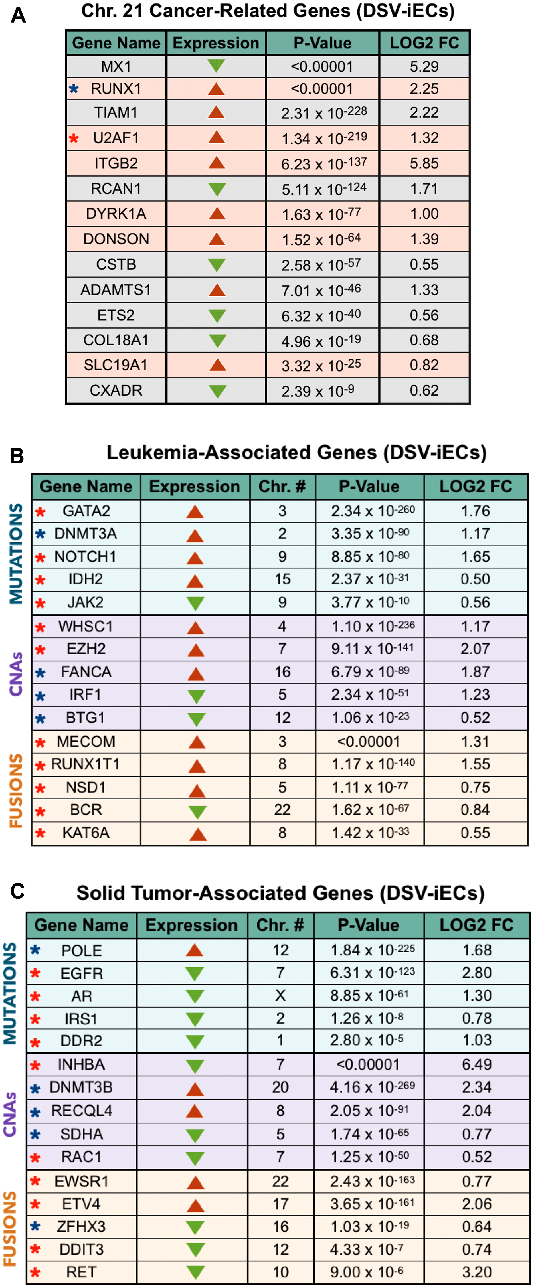 DS endothelial perspective on tumor development: chromosome 21 cancer-related genes, leukemia-associated genes, solid tumor-associated genes