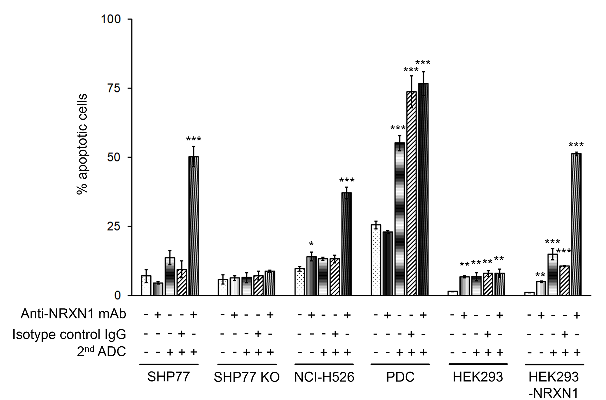 Apoptosis assay of NRXN1-targeted ADC at IC50 dose calculated by growth inhibition curves