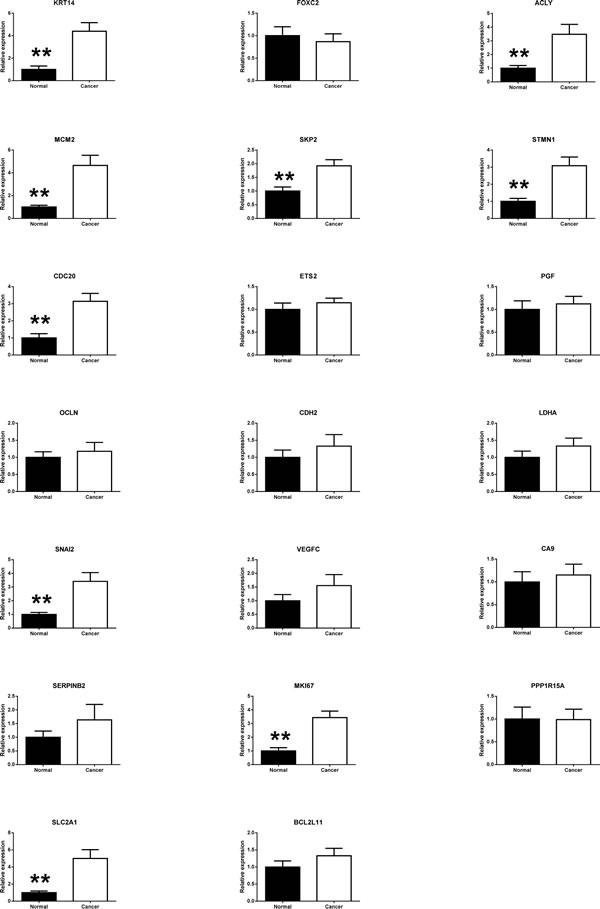 fig2