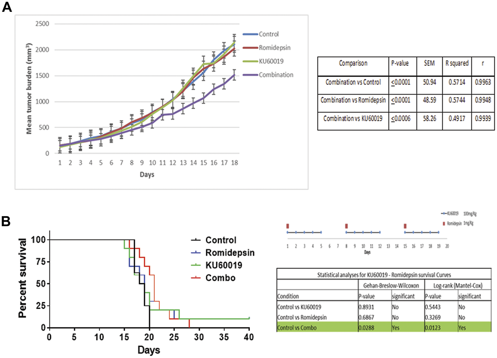 The combination of romidepsin and KU60019 is synergistic in a xenograft model of MCL