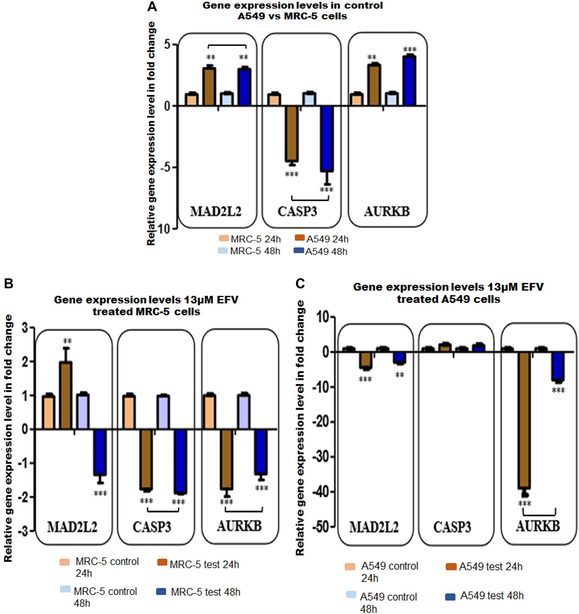 The validation for selected target genes by qPCR (A–C) in test (13 μM EFV treated) and control cells at 24 h and 48 h. (A) Represents target (MAD2L2, CASP3, AURKB) gene expression (GE) changes expressed as fold change in control A549 vs MRC-5 cells. (B) Shows target GE in fold change in EFV treated MRC-5 cells. (C) Illustrate target GE in fold change in EFV treated A549 cells. All experiments were performed in triplicate at least three times. *p $!--ESC