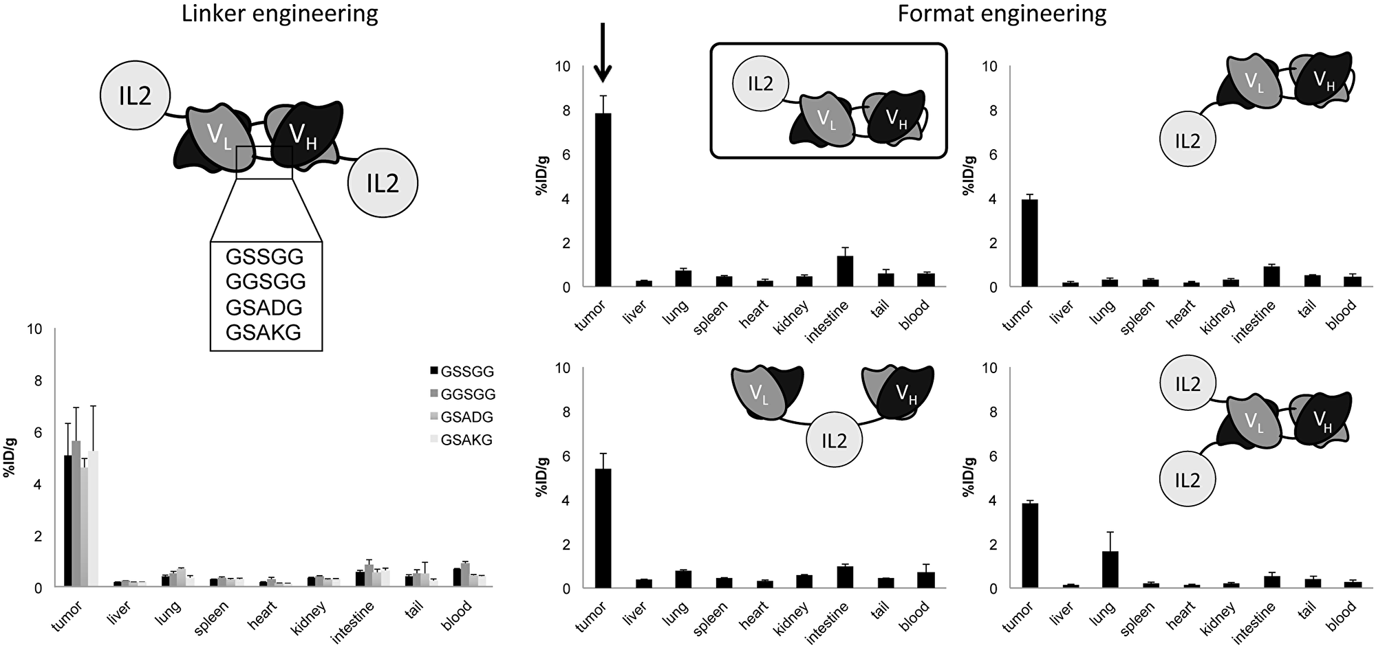 In vivo comparative quantitative biodistribution studies performed in immunocompetent mice bearing F9 teratocarcinoma tumors (n = 3 per group), using radioiodinated protein preparation