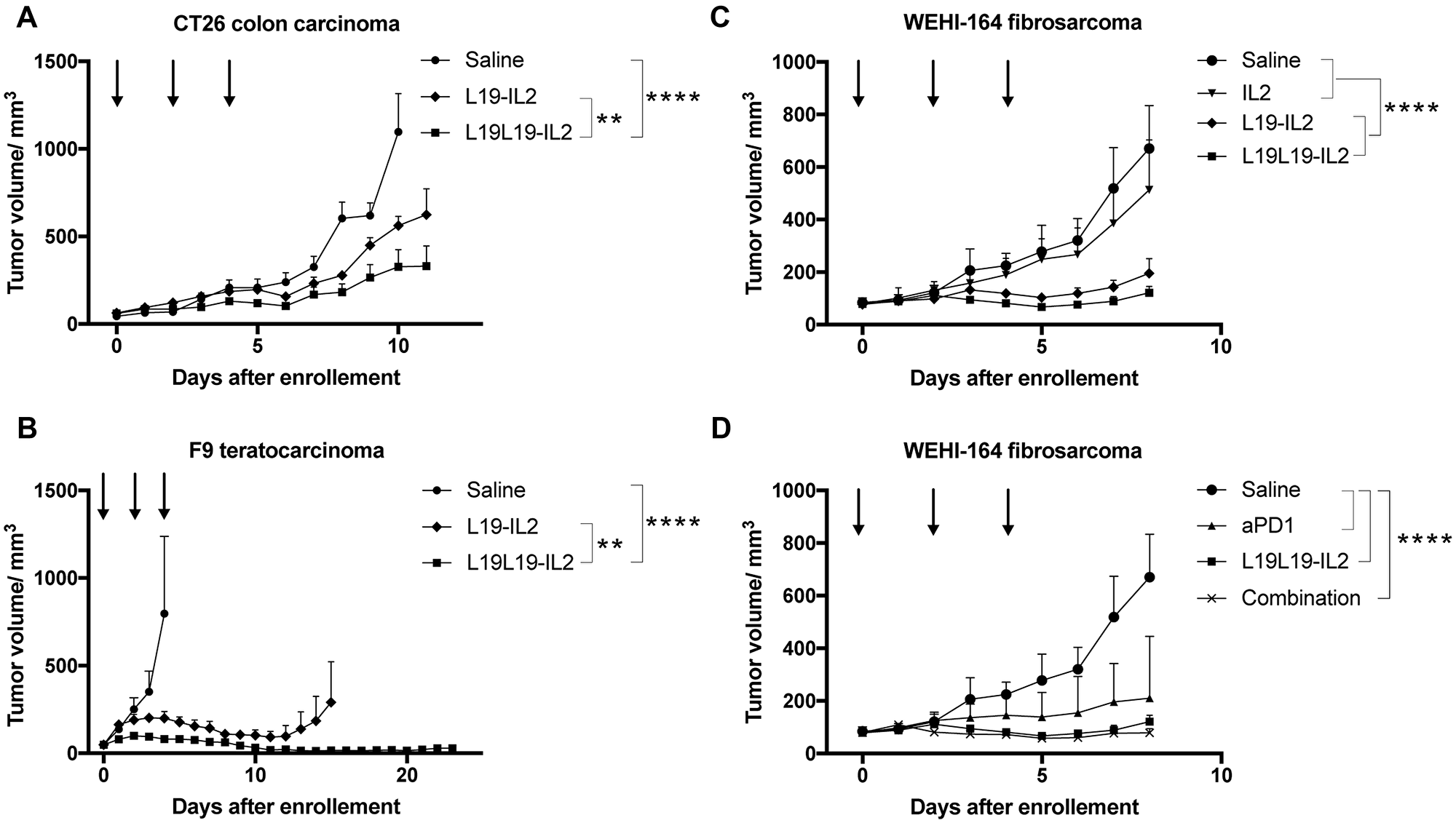 Tumor therapy experiments in immune competent mice