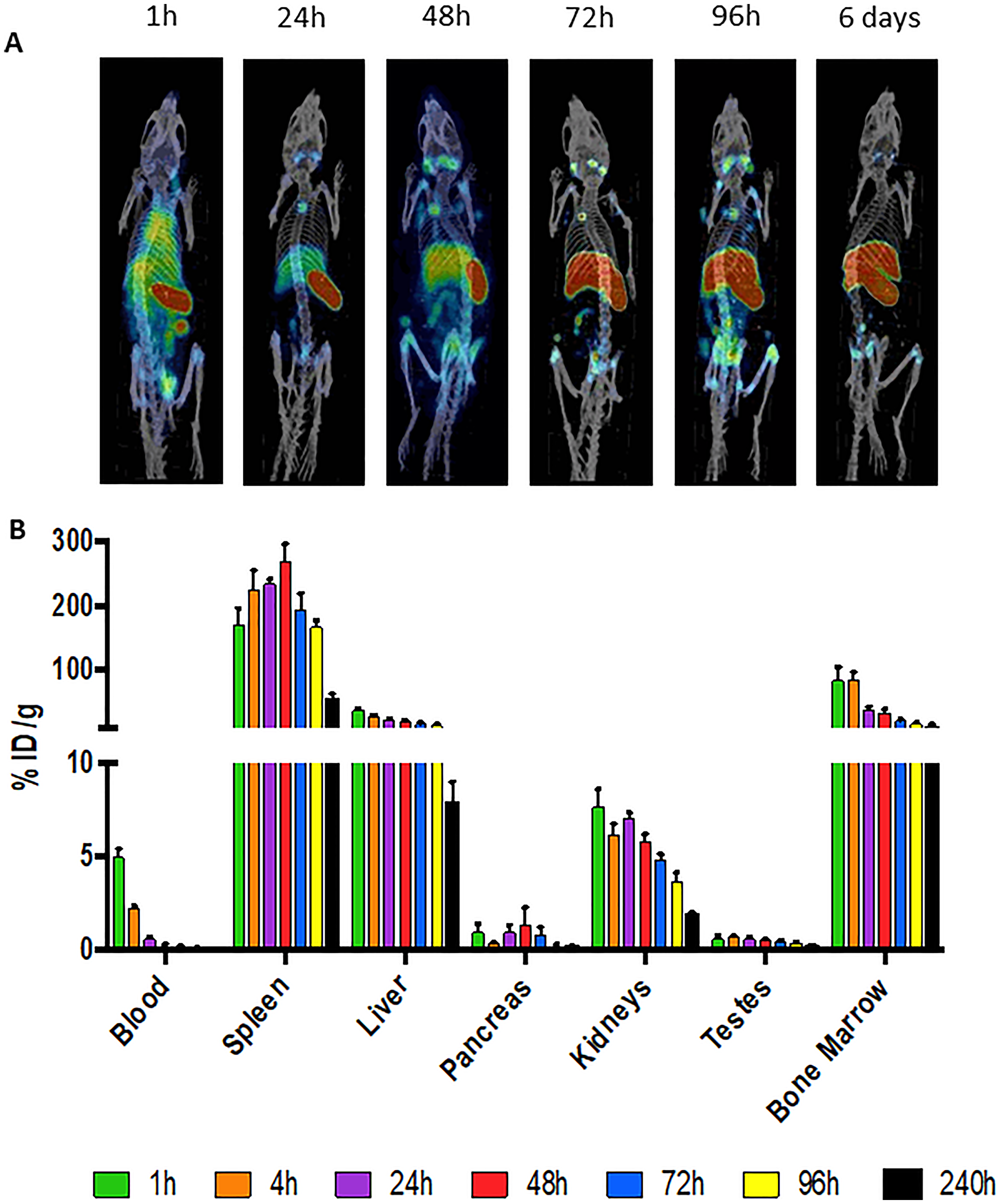 111In-30F11 anti-CD45 antibody homes to immune organs